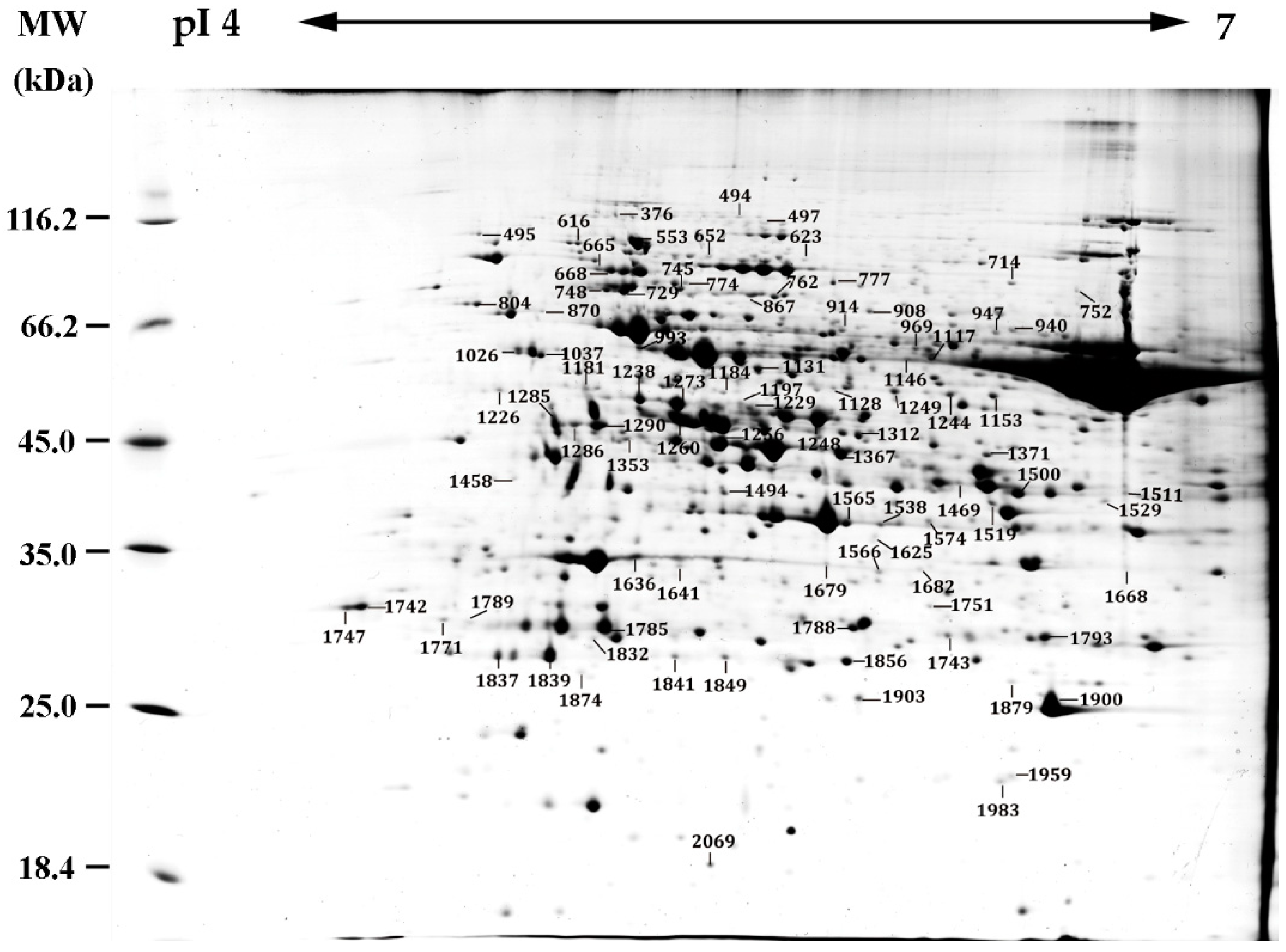 Ijms 20 03872 g005 Ijms 20 03872 g005