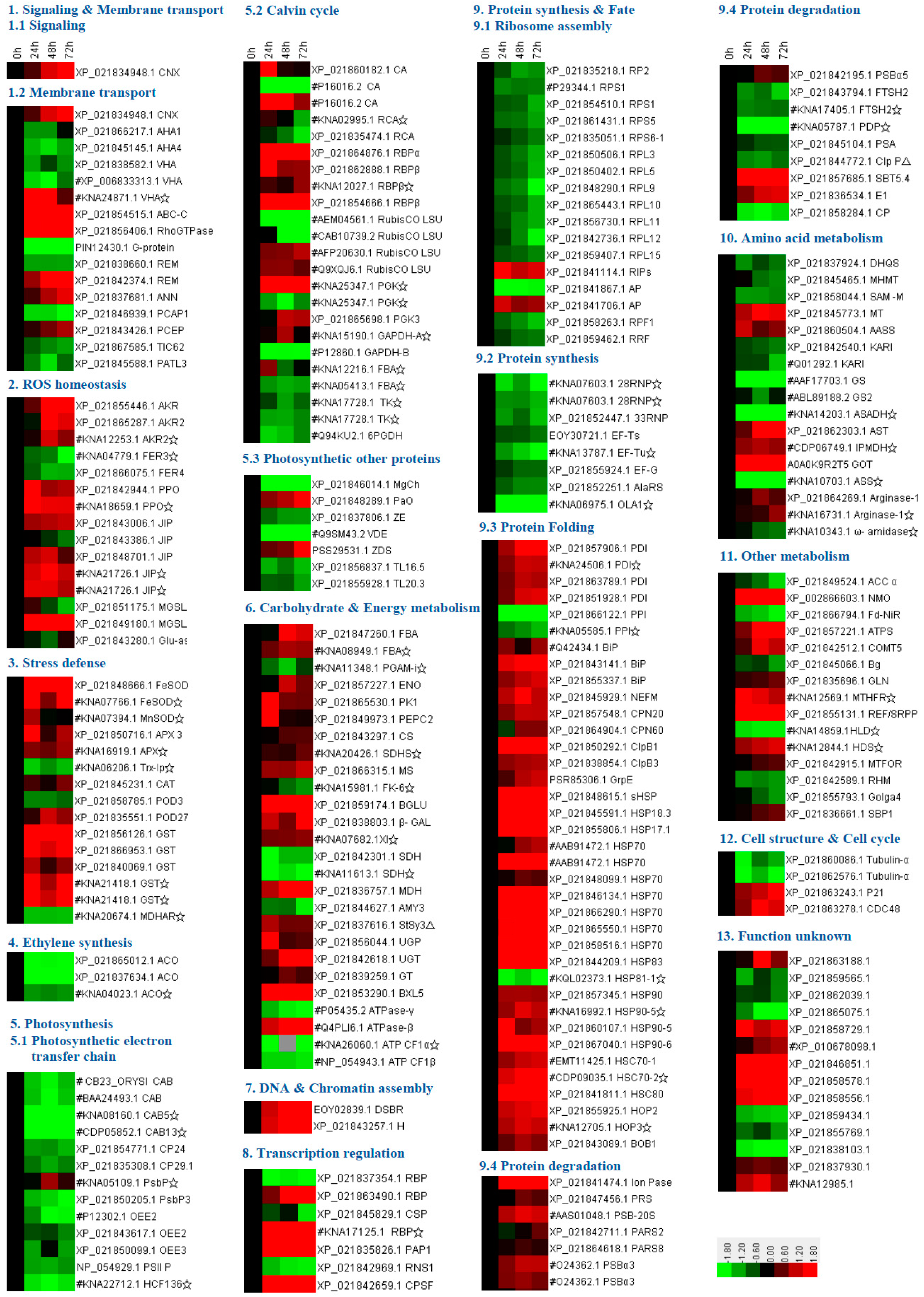 Ijms 20 03872 g006 Ijms 20 03872 g006