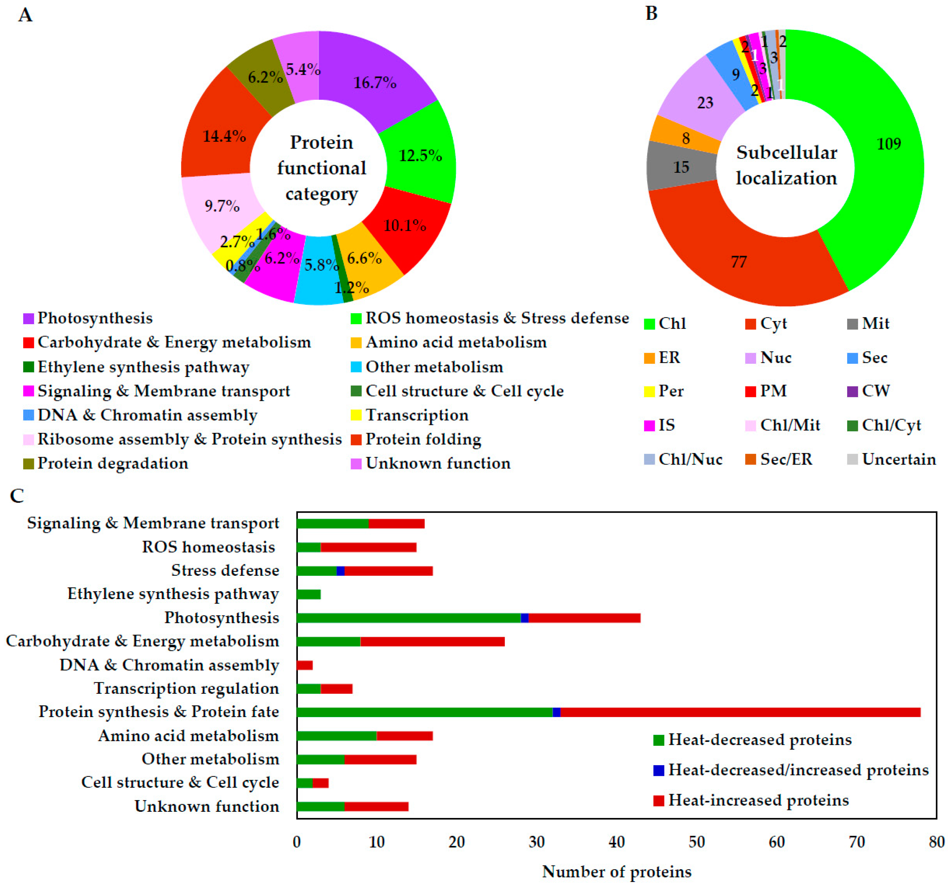 Ijms 20 03872 g007 Ijms 20 03872 g007