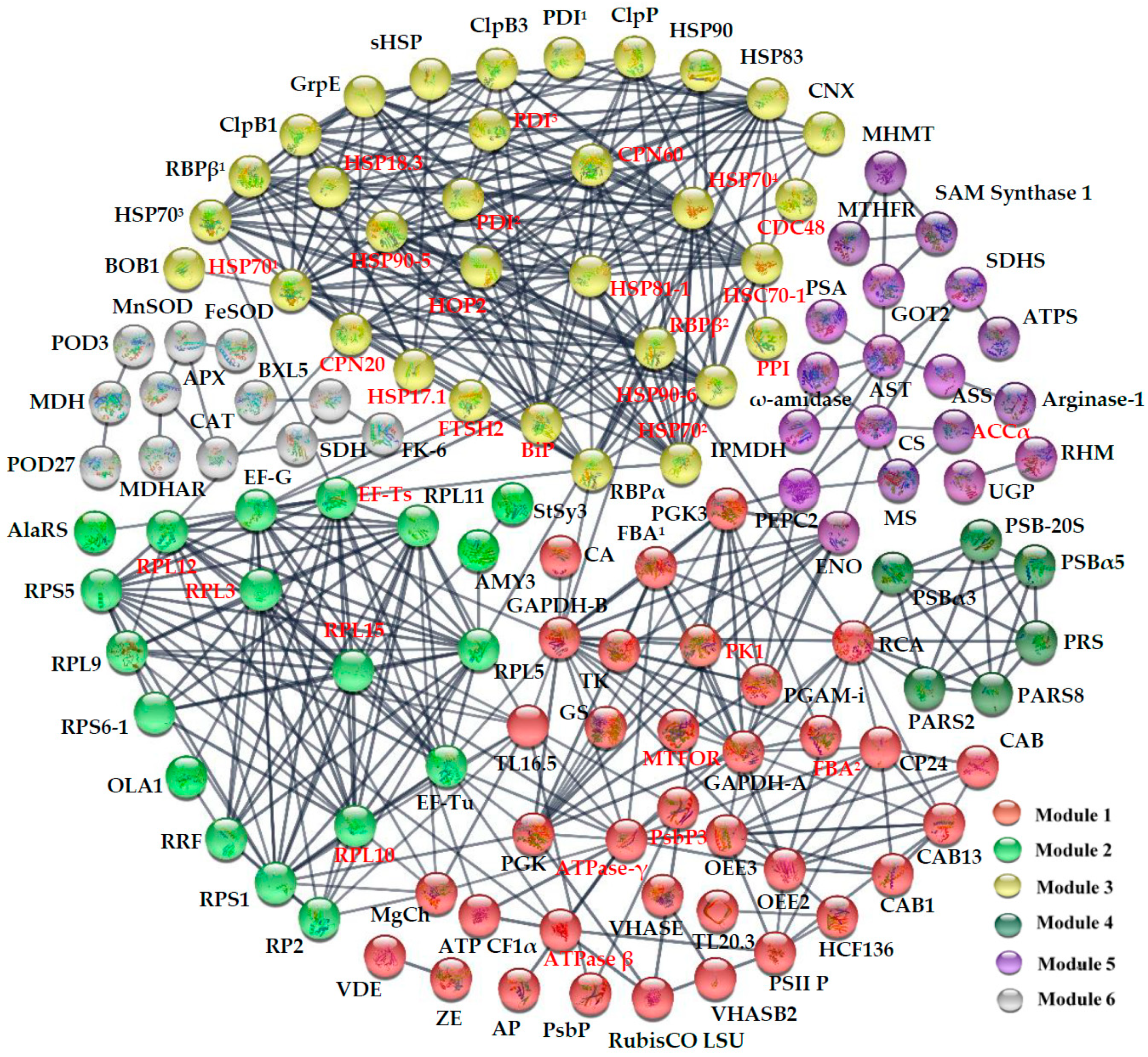 Ijms 20 03872 g008 Ijms 20 03872 g008