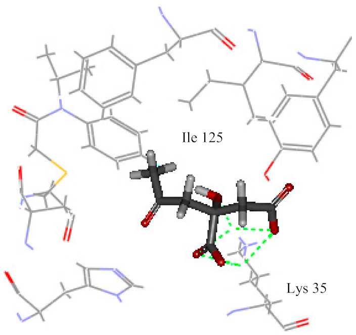 Ijms 20 03875 i003 Ijms 20 03875 i003