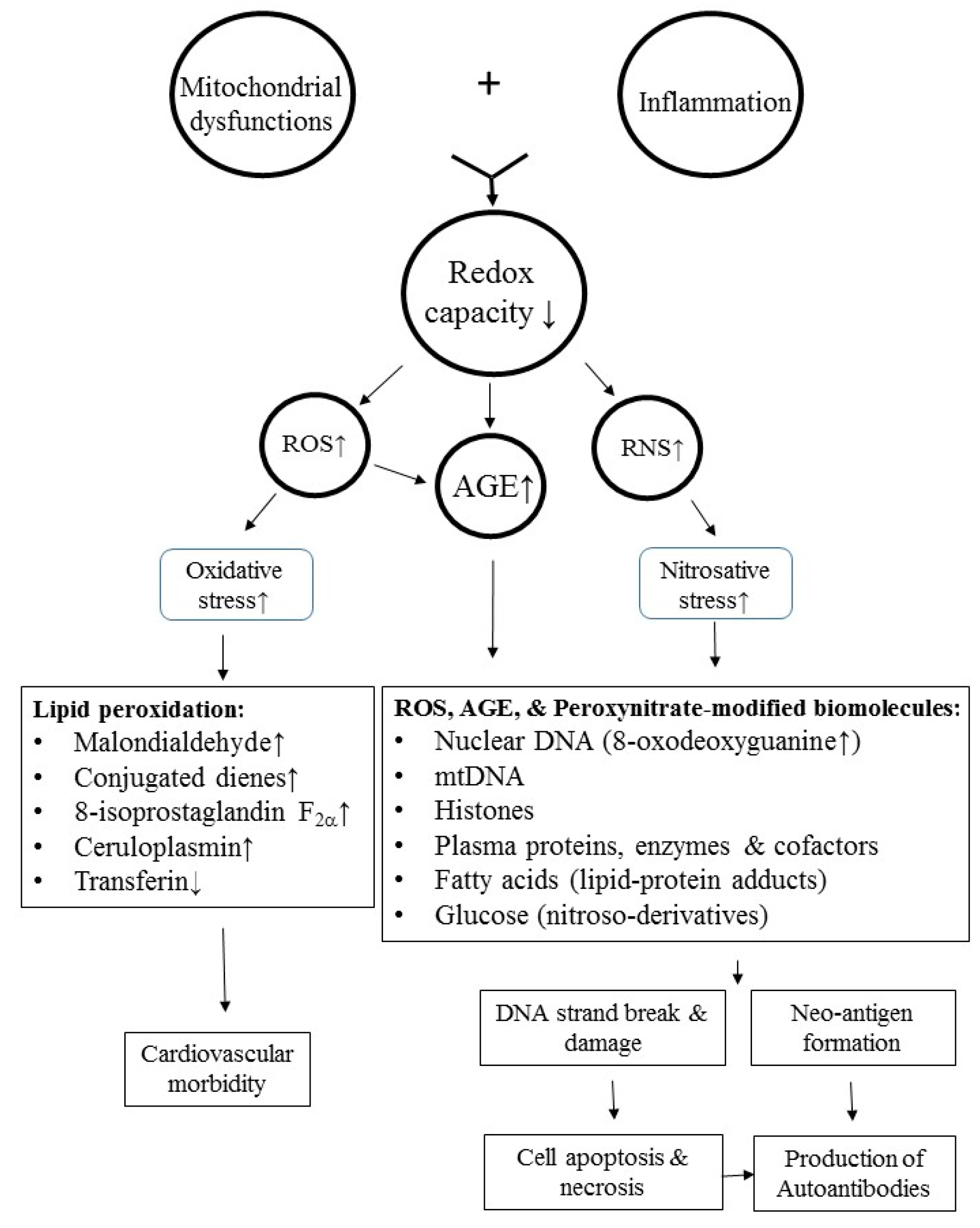 Ijms 20 03878 g005
