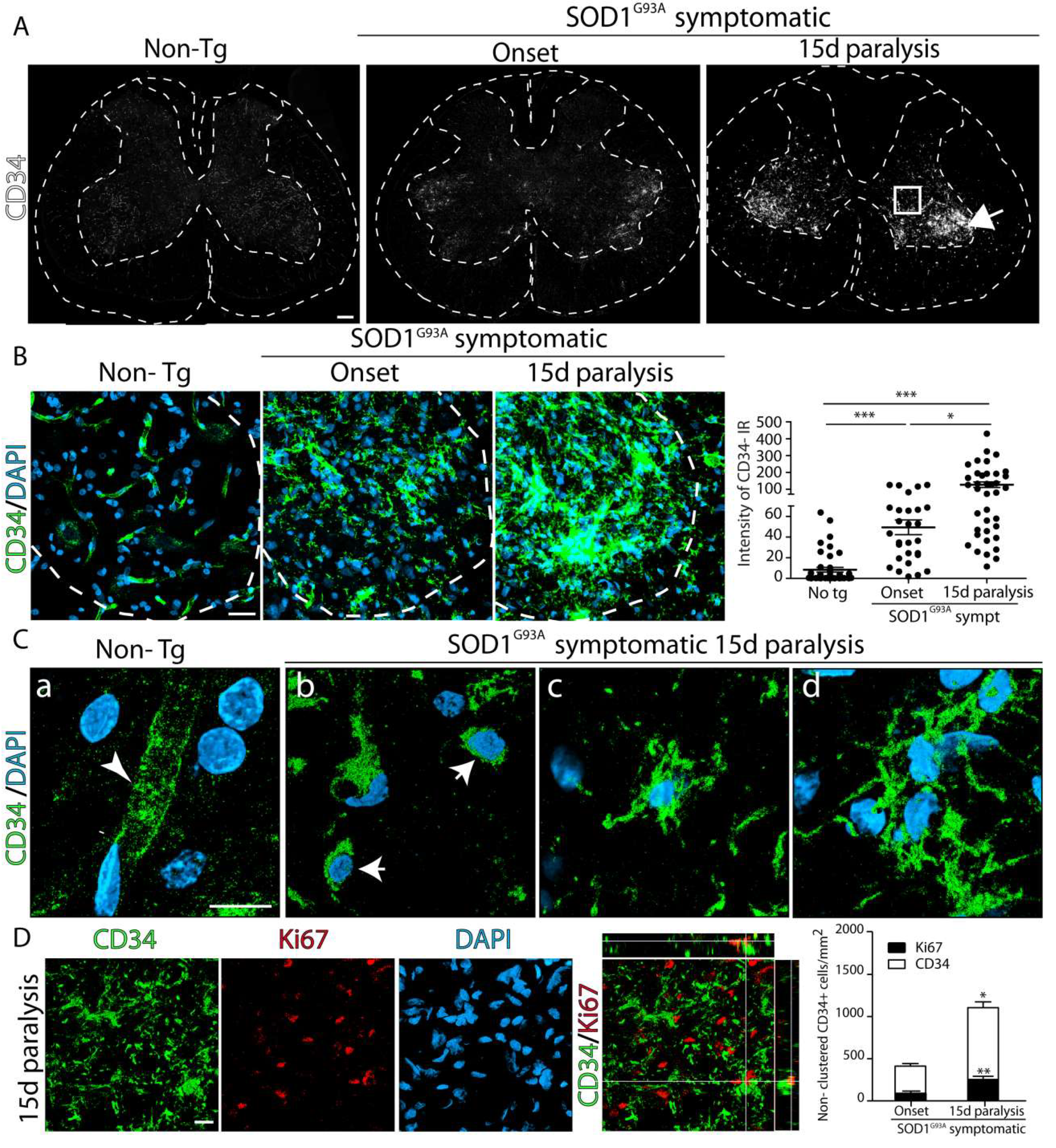 Ijms 20 03880 g001 Ijms 20 03880 g001