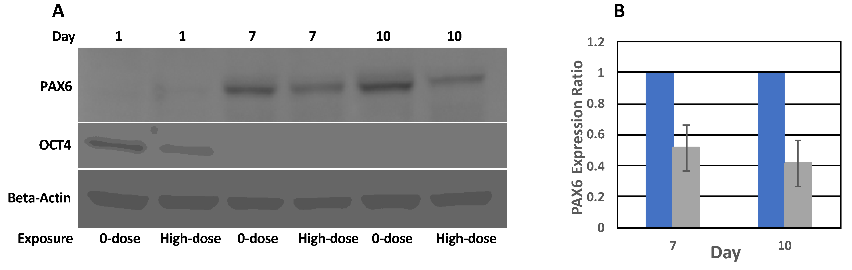 Ijms 20 03900 g006