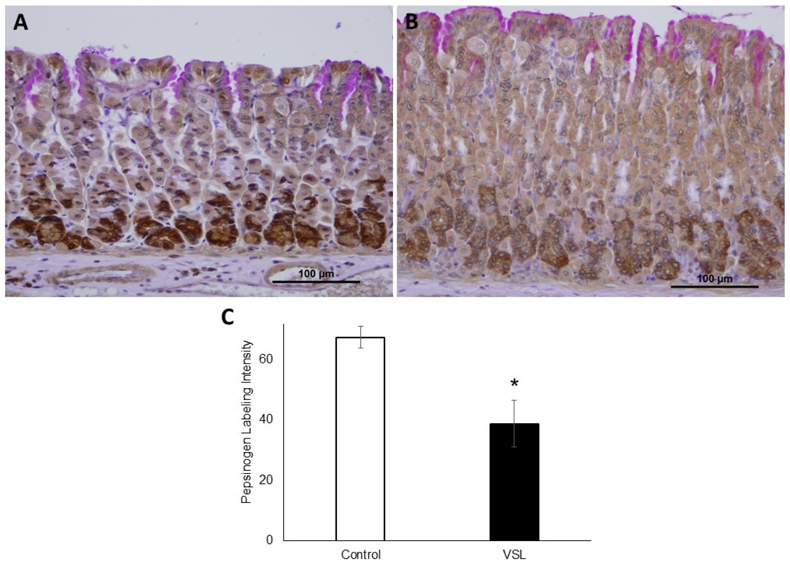 Ijms 20 03901 g007 Ijms 20 03901 g007
