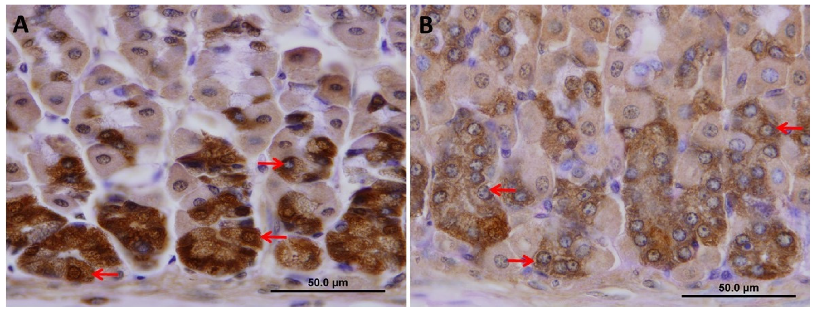 Ijms 20 03901 g008 Ijms 20 03901 g008