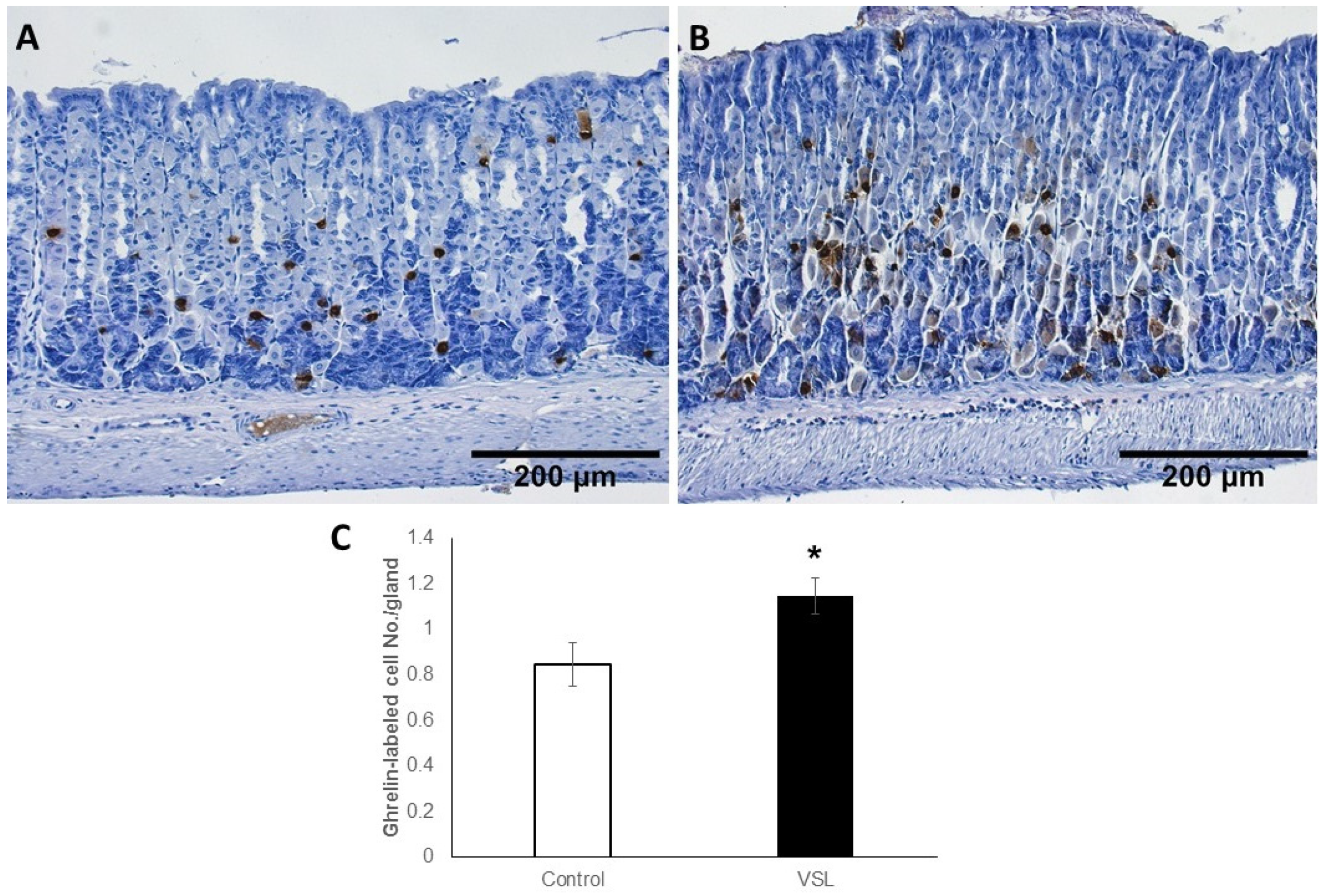 Ijms 20 03901 g011 Ijms 20 03901 g011