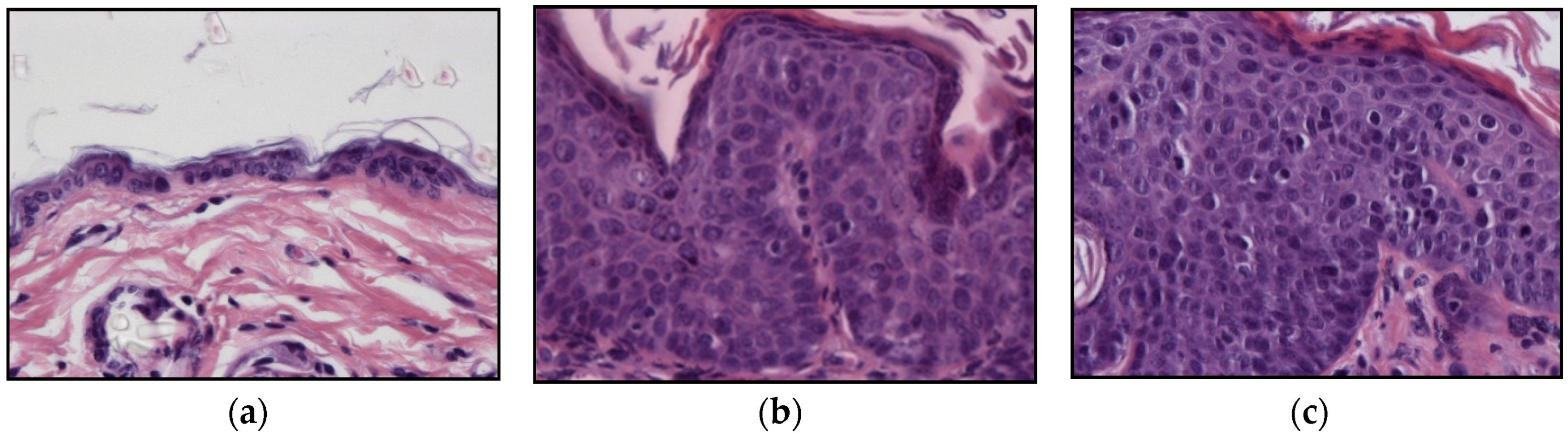 Ijms 20 03902 g003