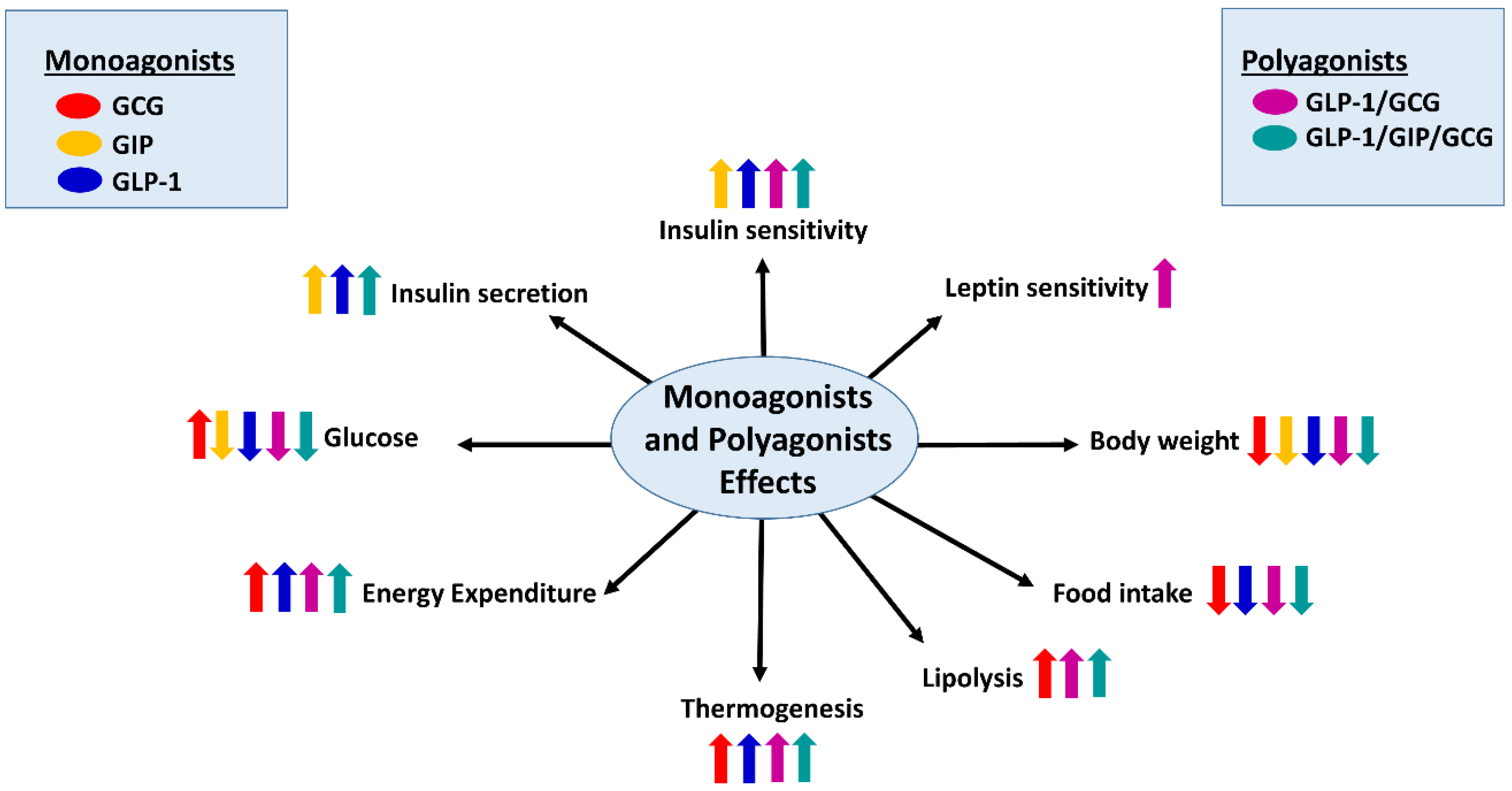 what is energy intake Energy expenditure intake and balance essay