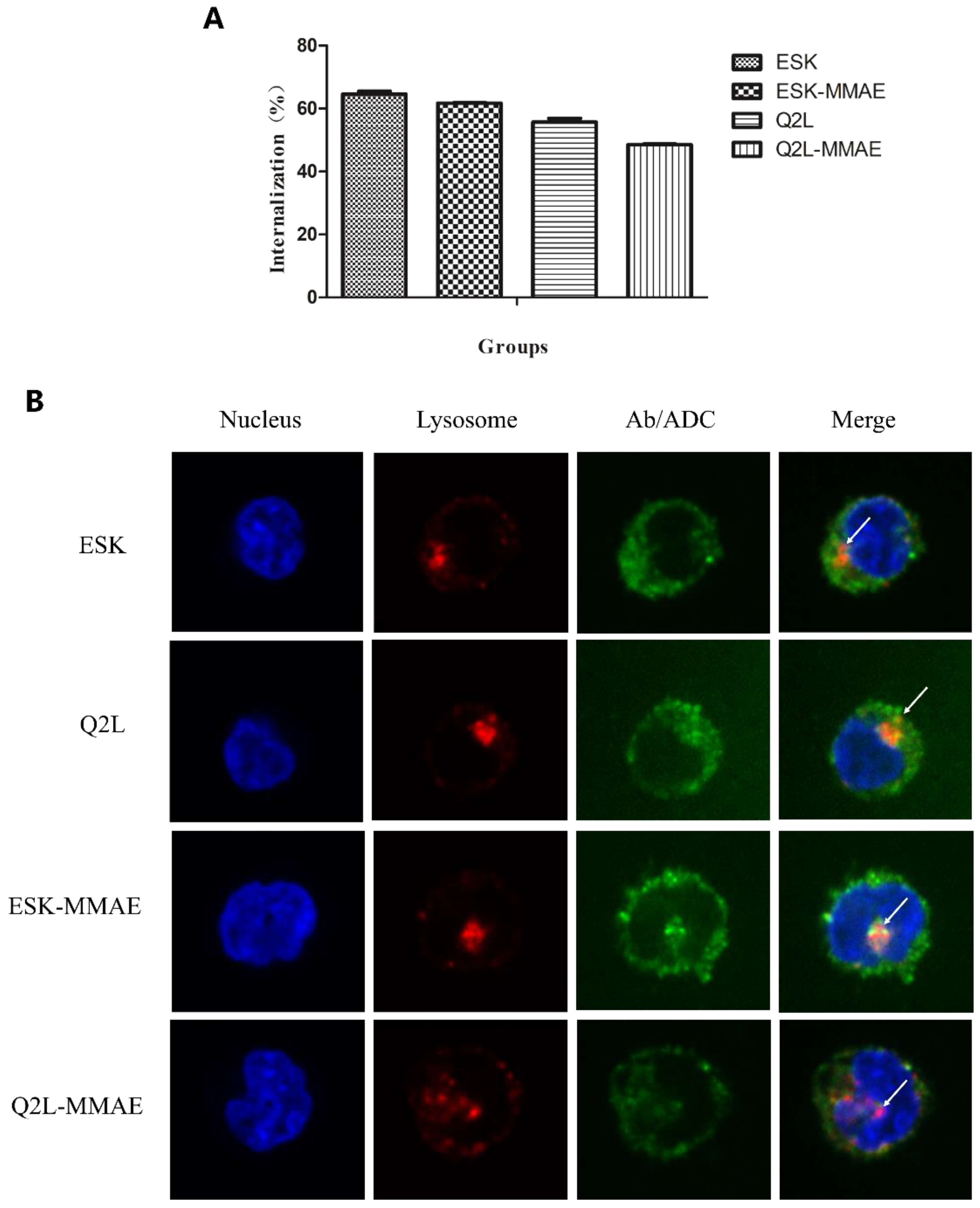 Ijms 20 03912 g003 Ijms 20 03912 g003
