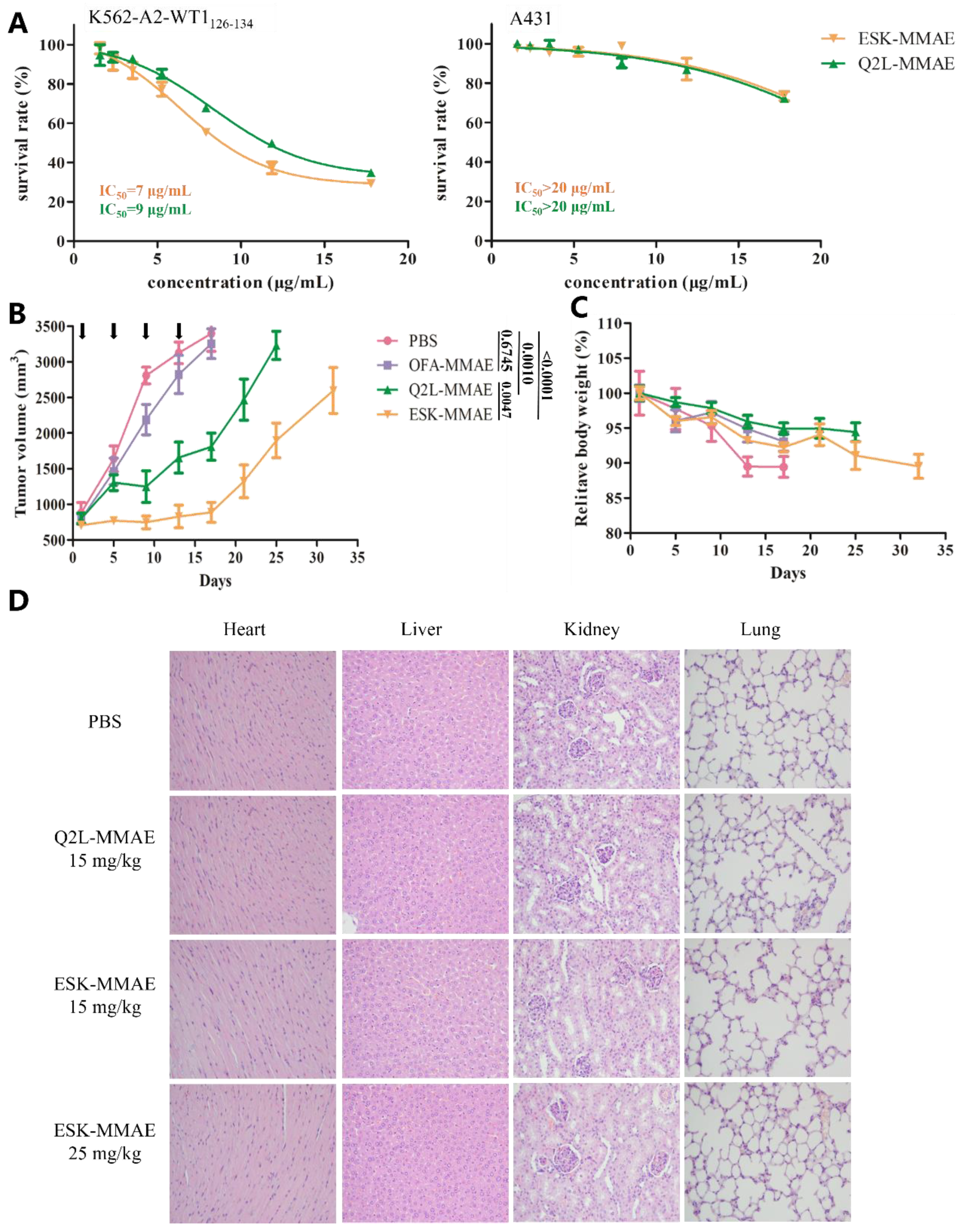 Ijms 20 03912 g004 Ijms 20 03912 g004