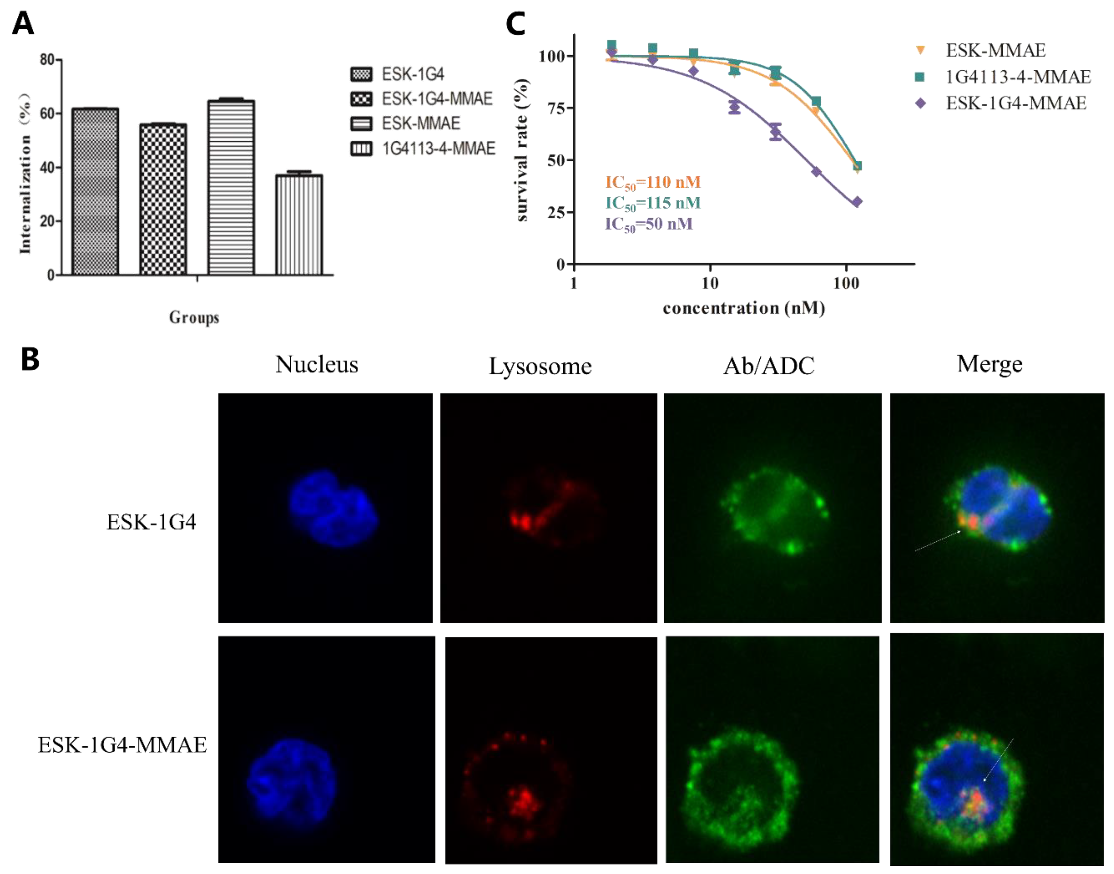 Ijms 20 03912 g006 Ijms 20 03912 g006