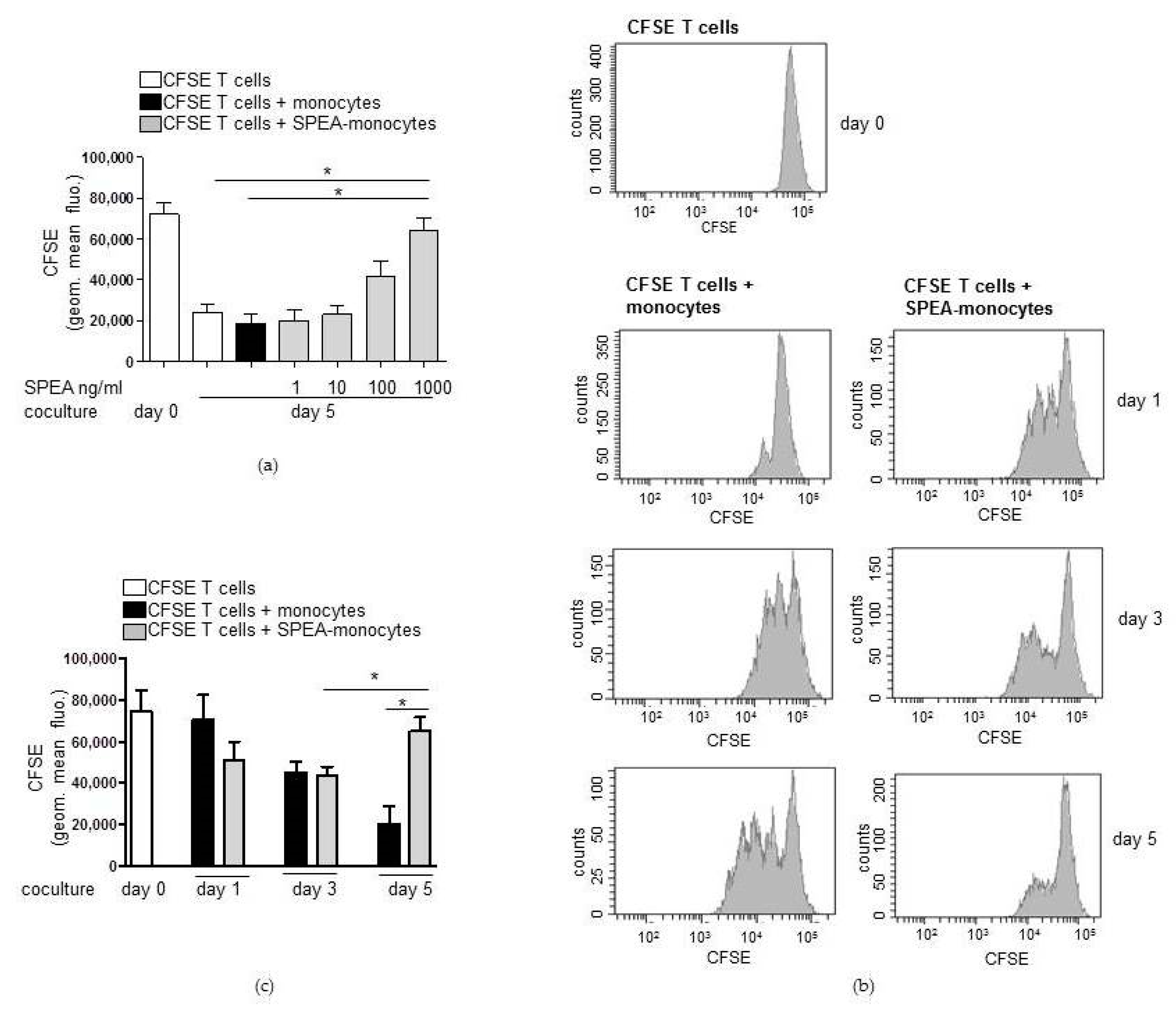 Ijms 20 03933 g001