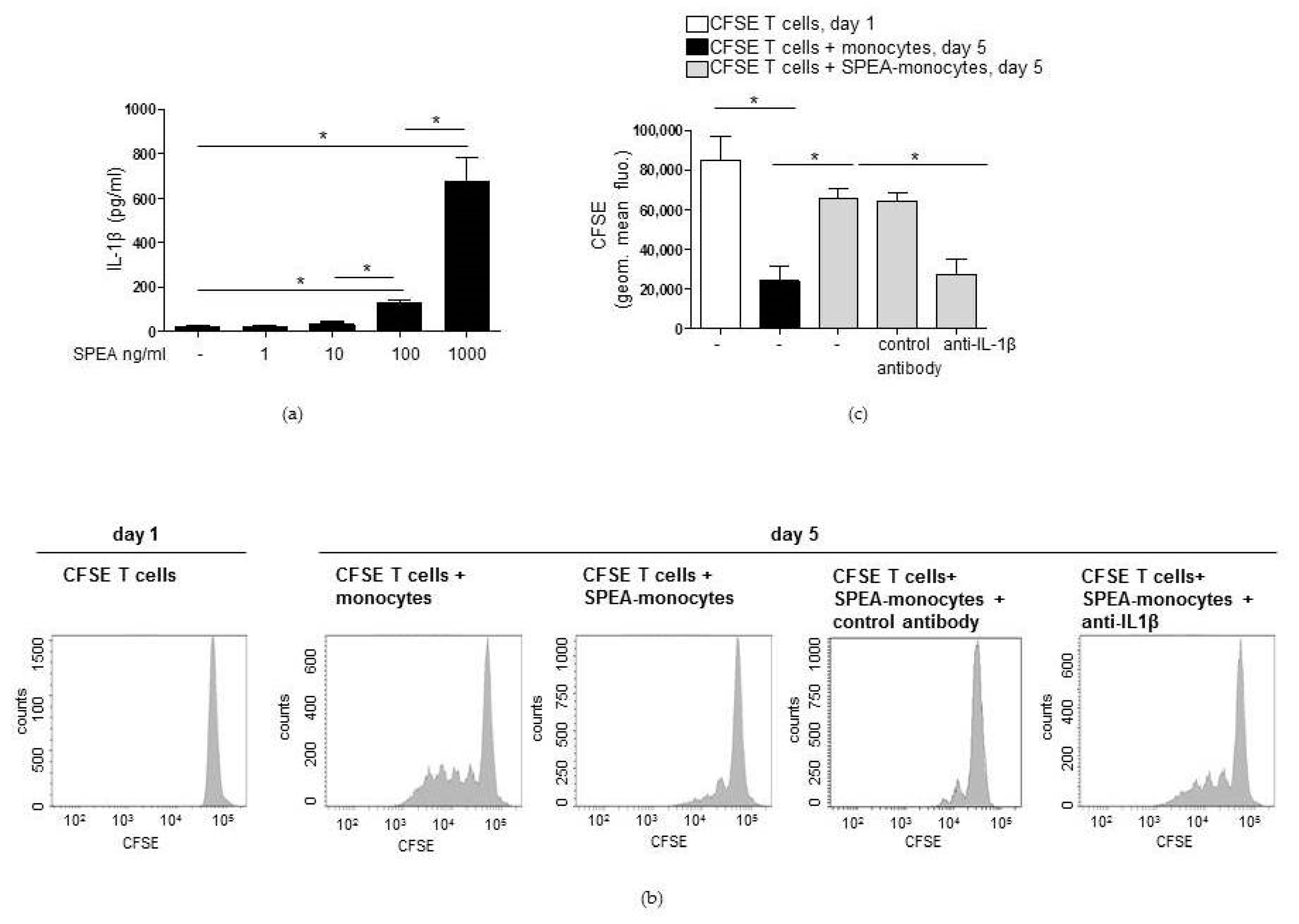 Ijms 20 03933 g004