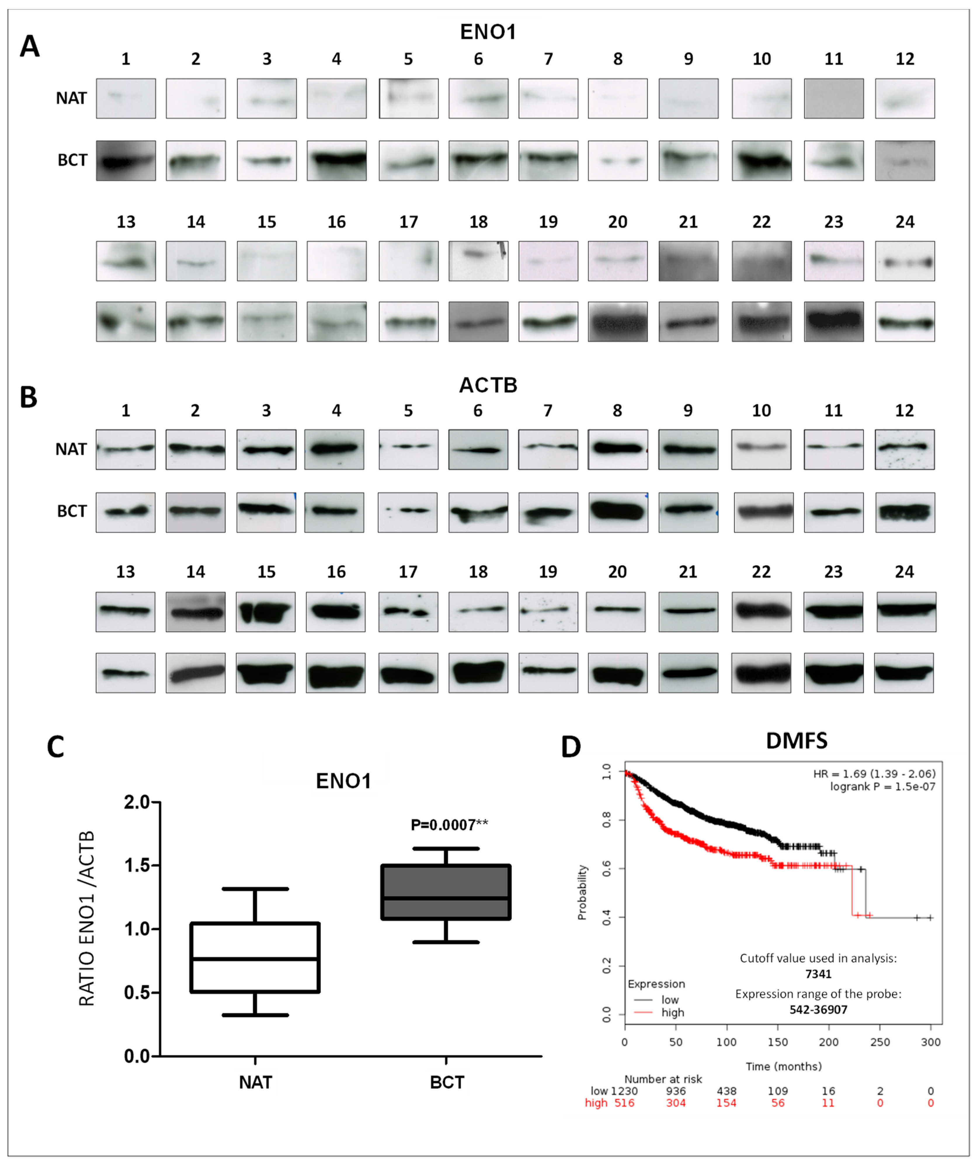 Ijms 20 03952 g001 Ijms 20 03952 g001