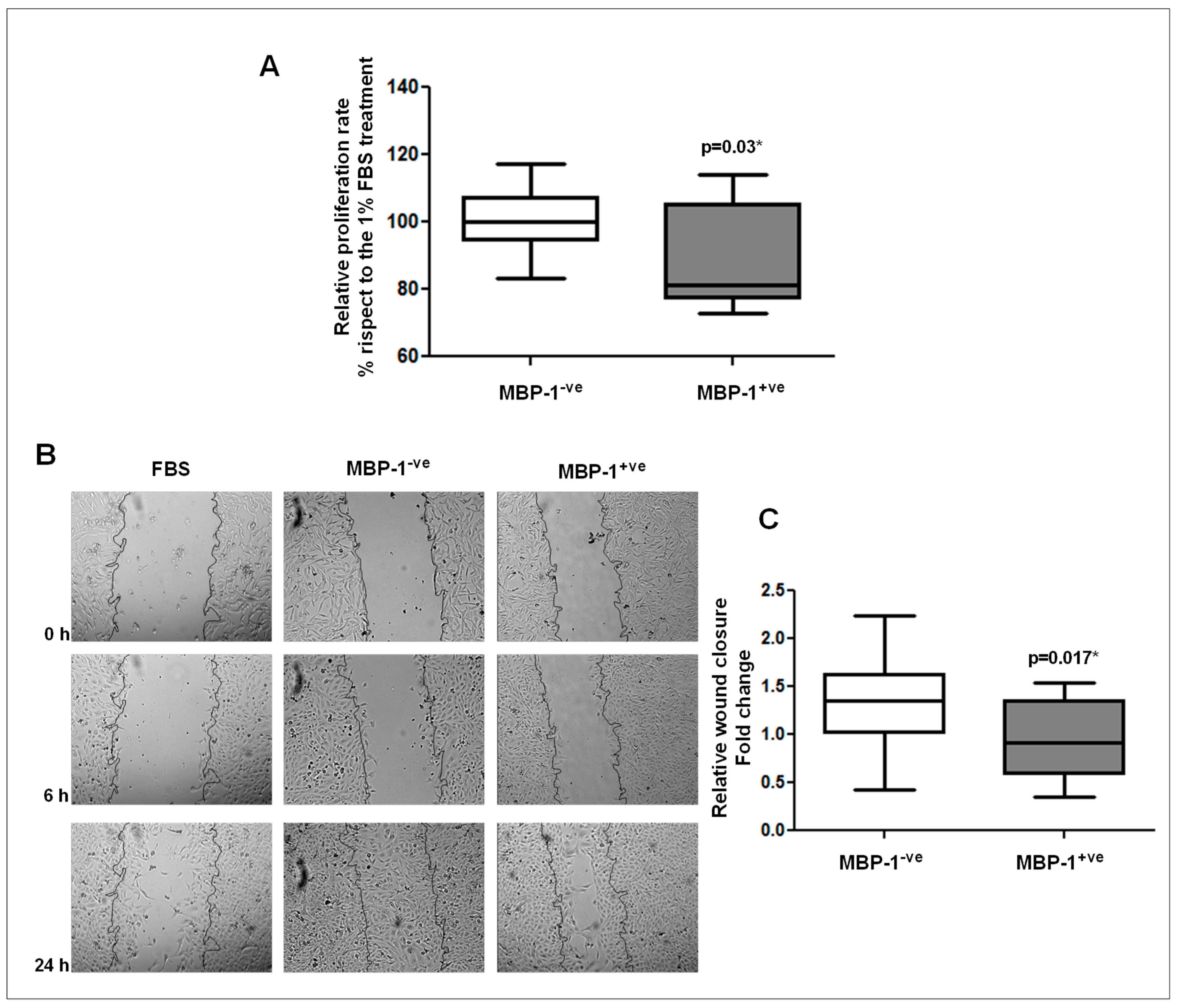 Ijms 20 03952 g006 Ijms 20 03952 g006