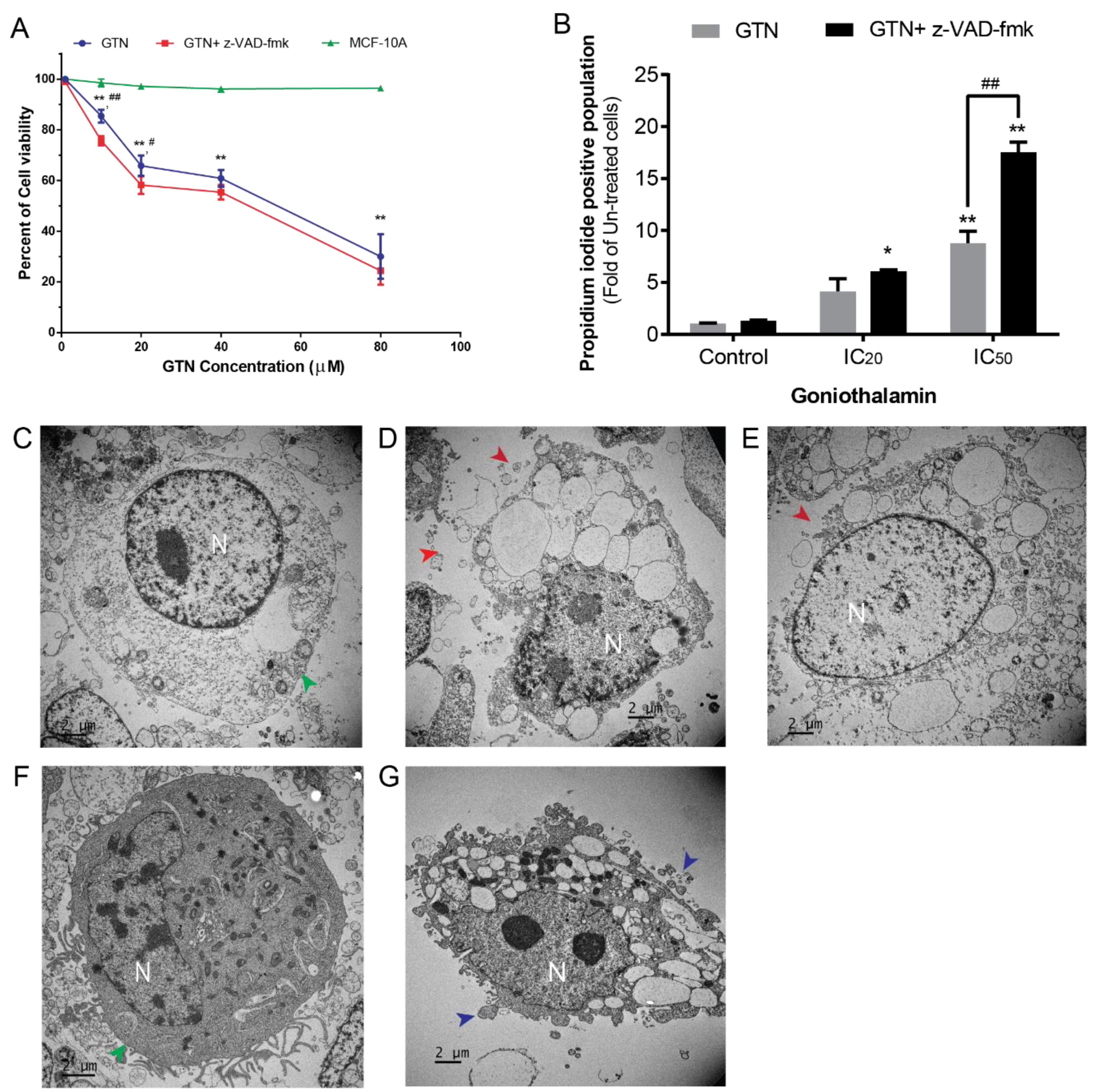 Ijms 20 03953 g001