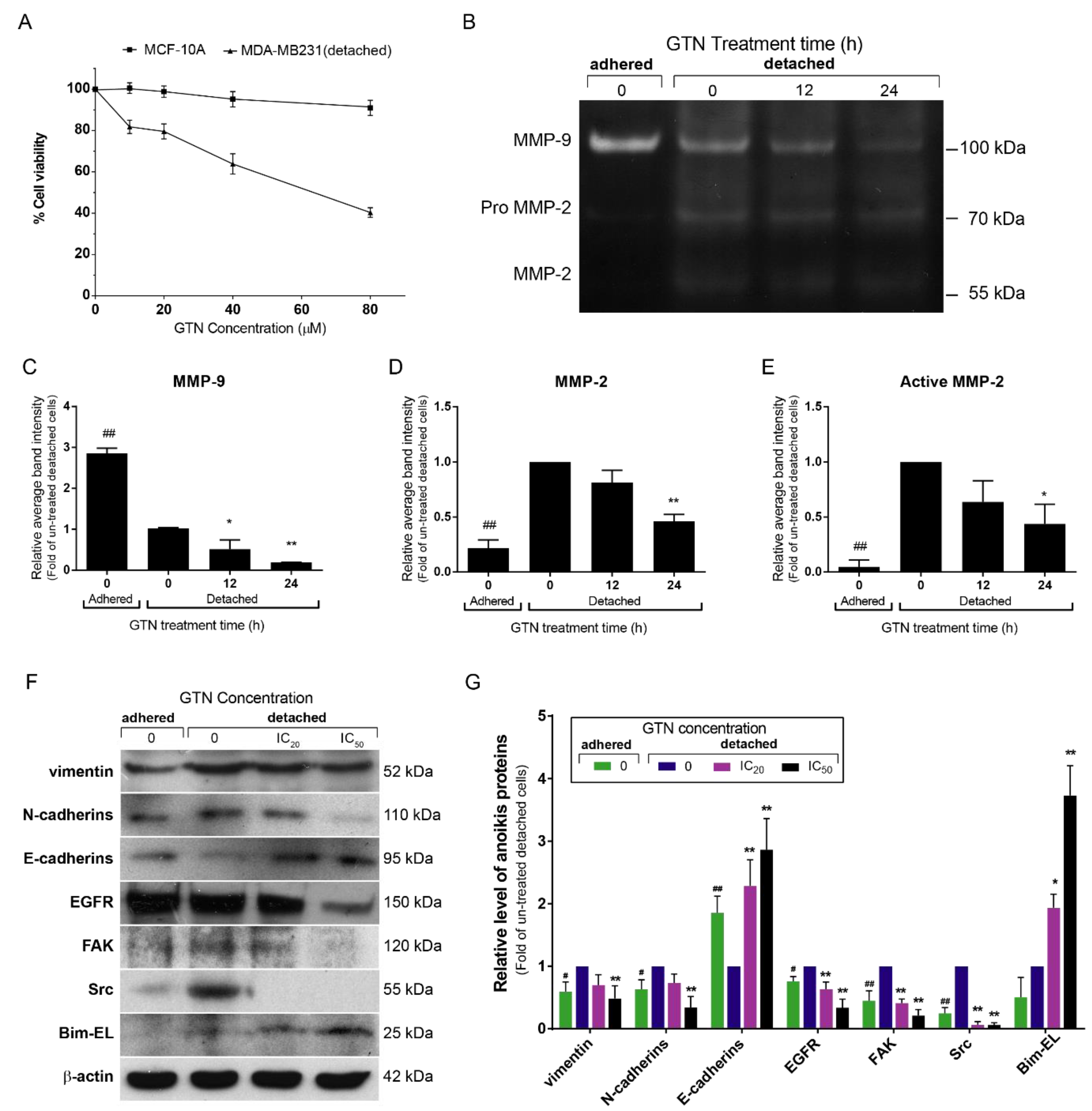 Ijms 20 03953 g005