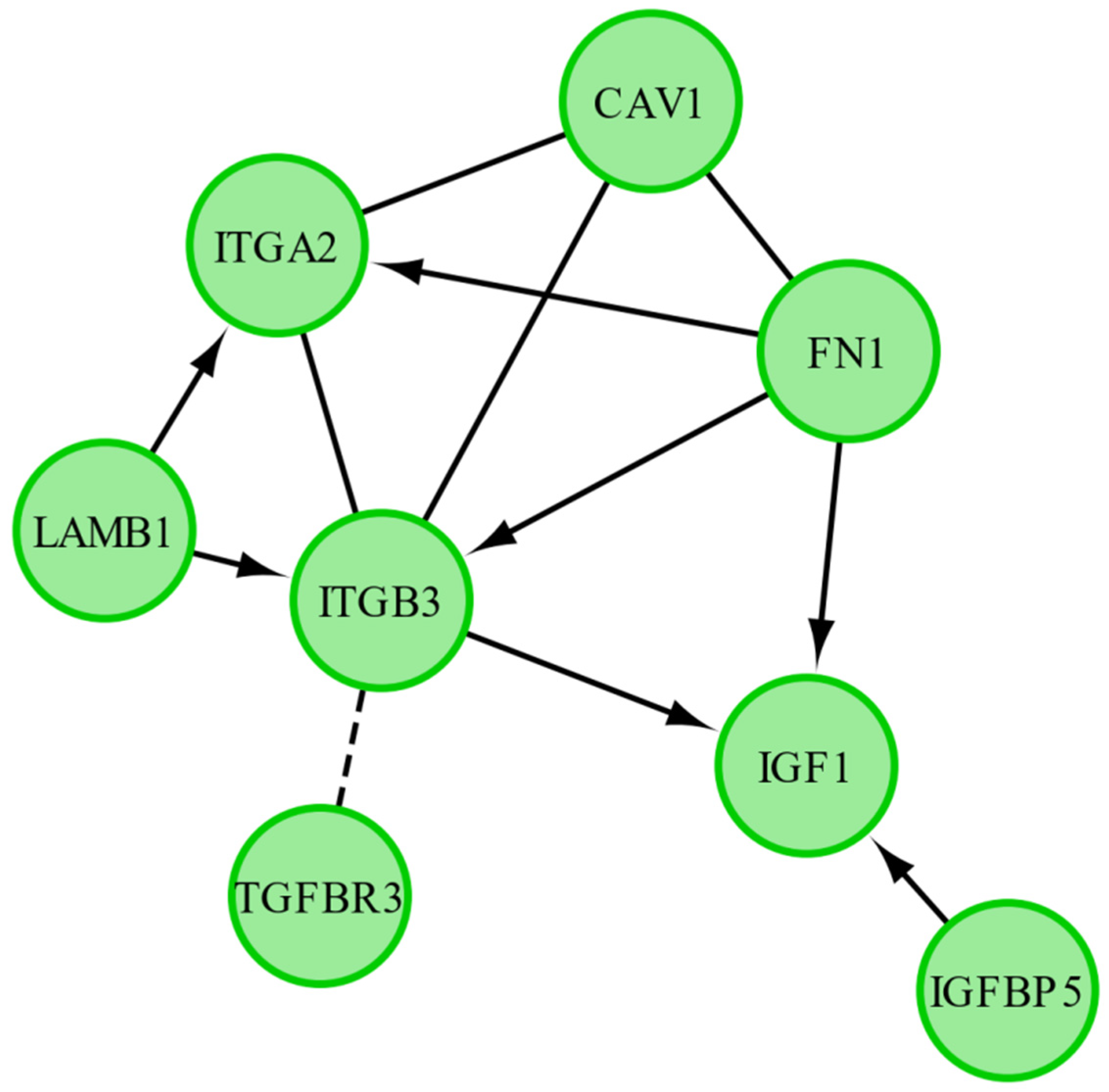 Ijms 20 03966 g007
