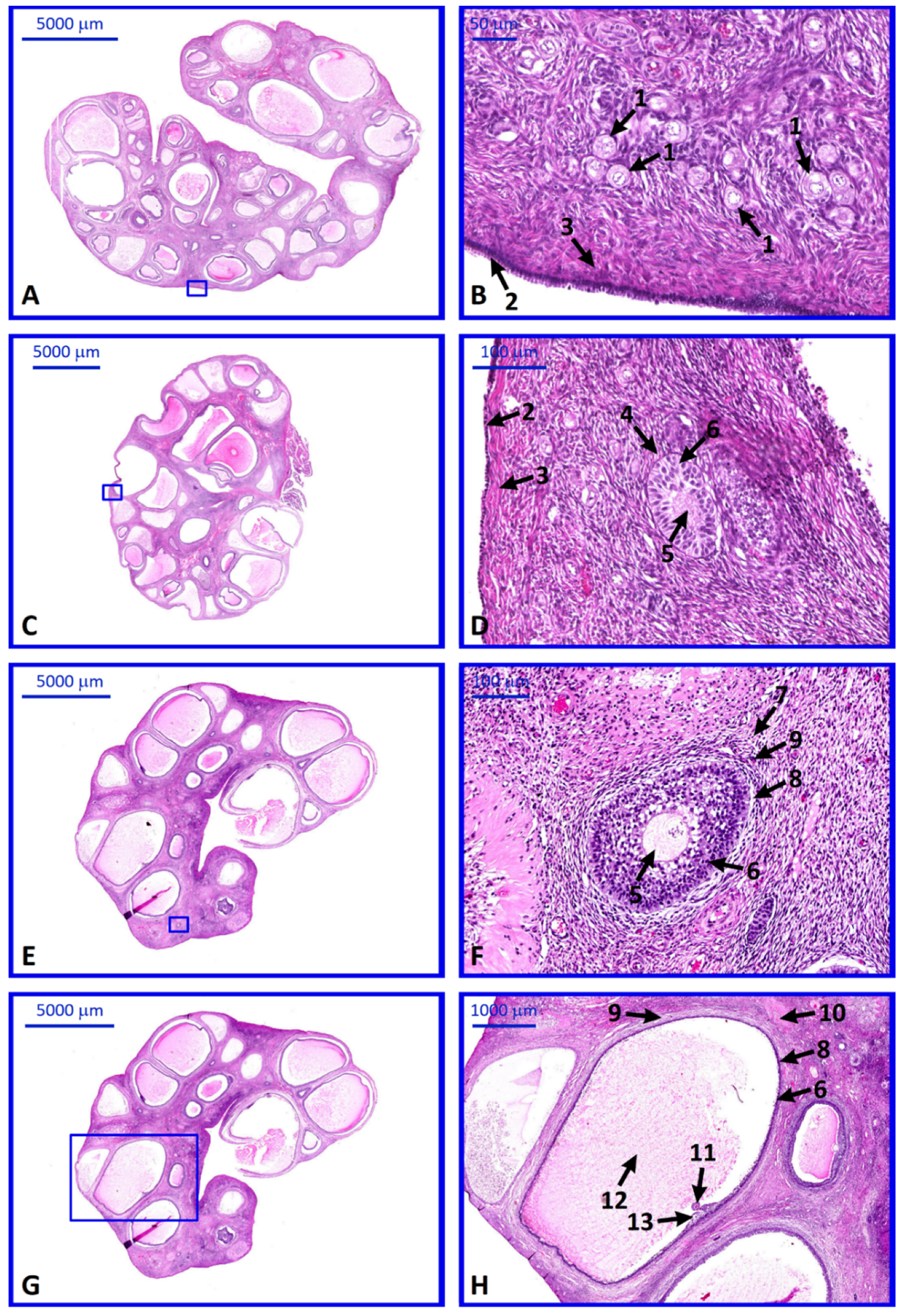 Ijms 20 03966 g009
