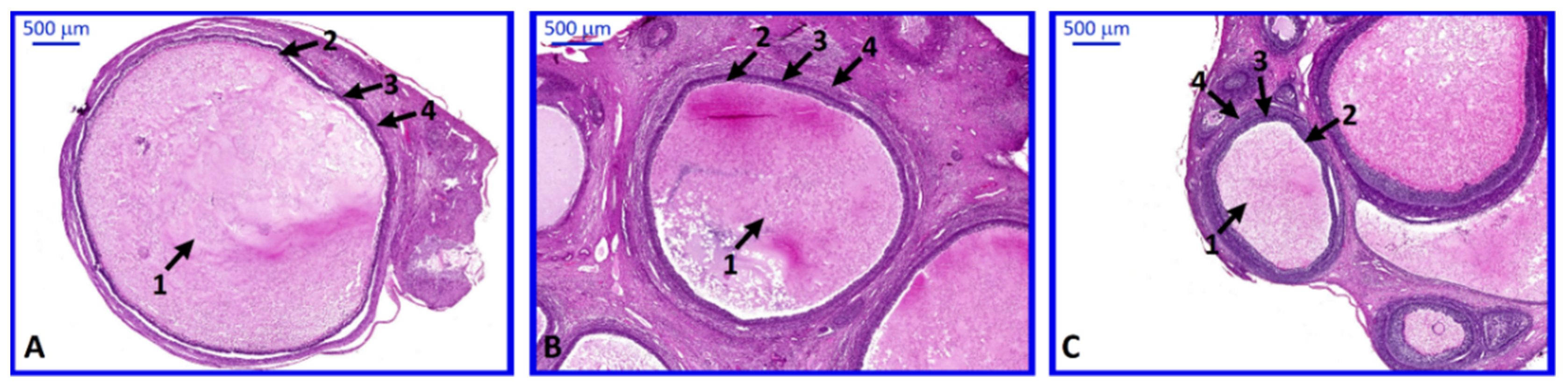 Ijms 20 03966 g010