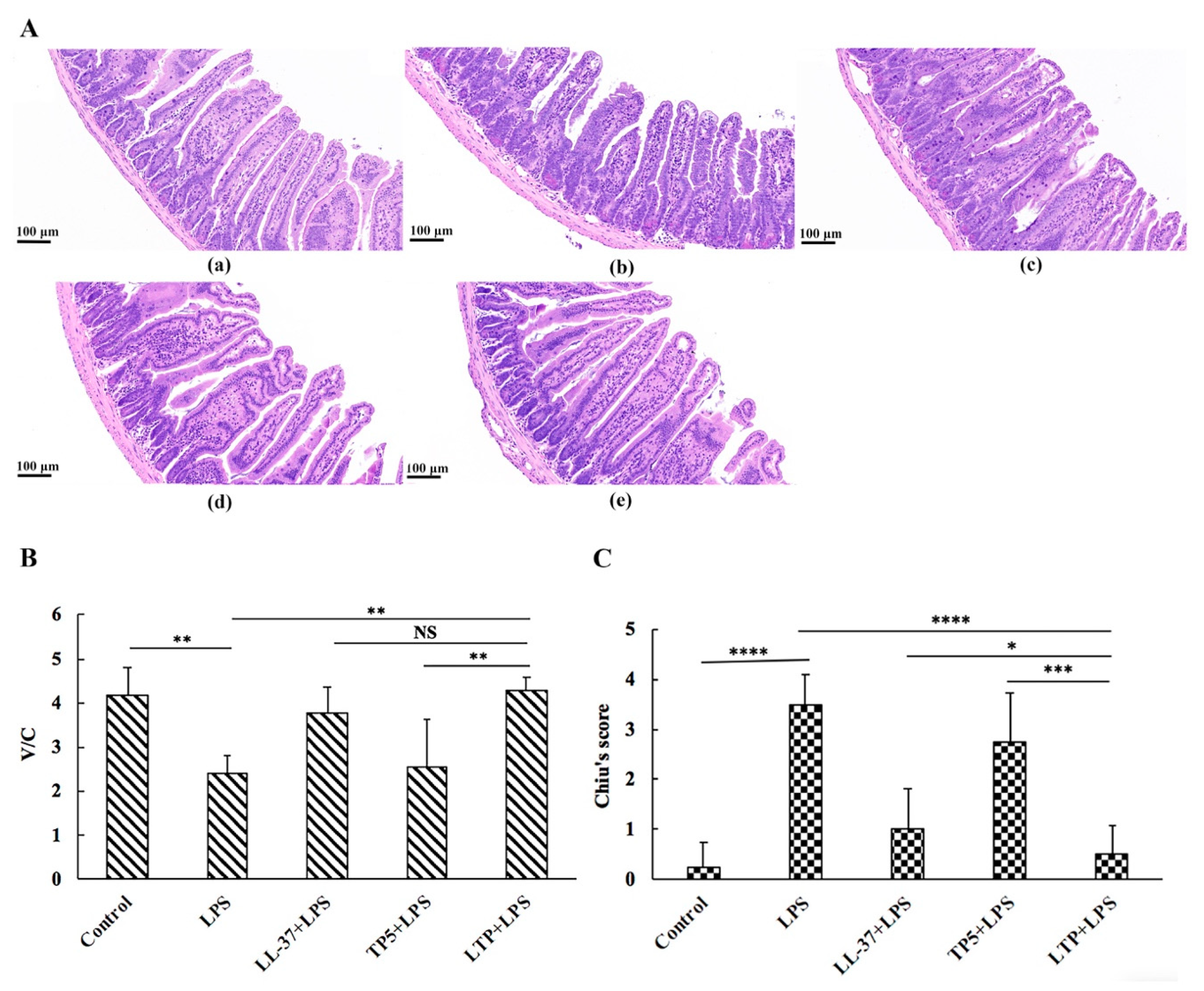 Ijms 20 03974 g004 Ijms 20 03974 g004