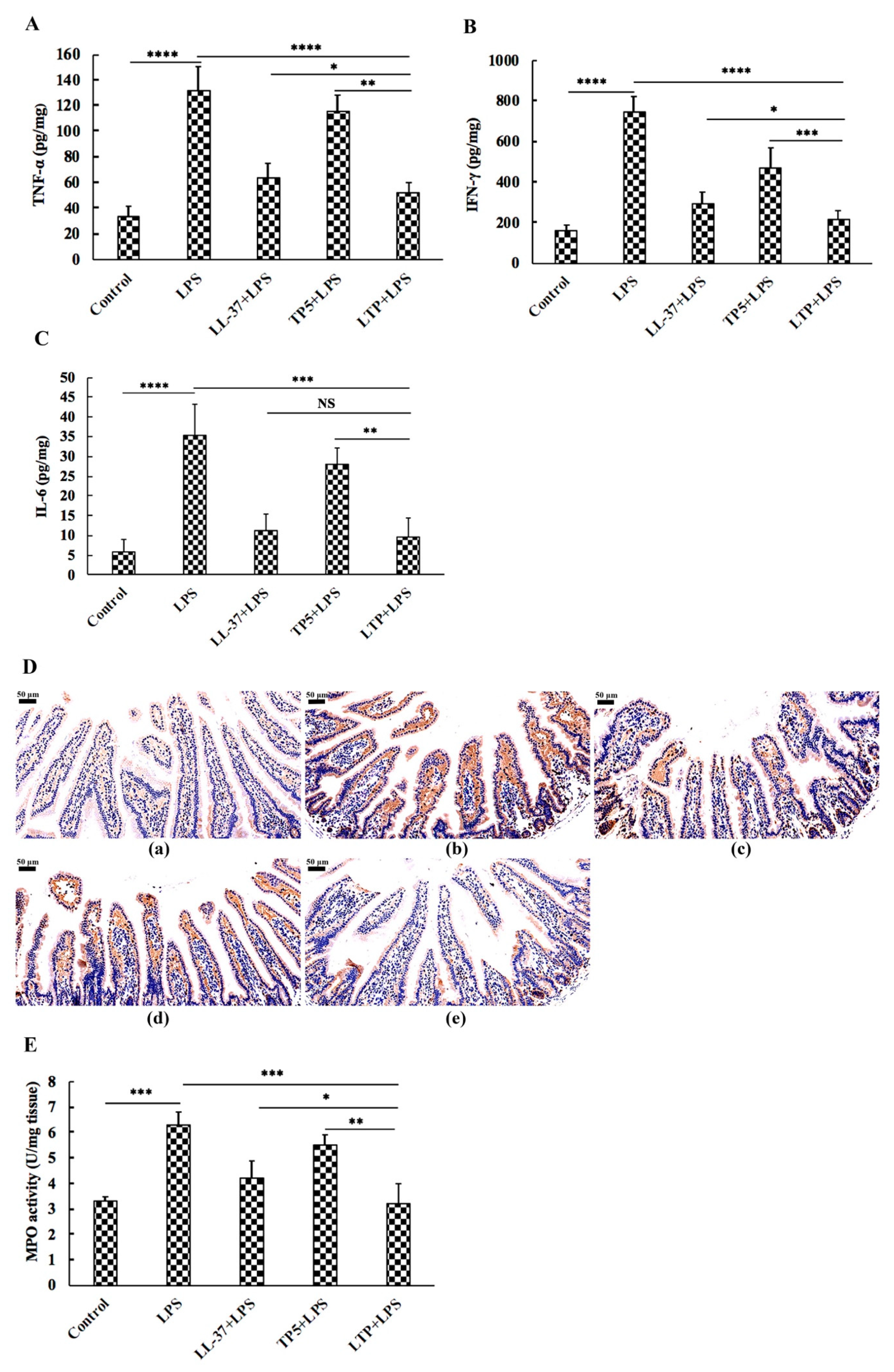 Ijms 20 03974 g005 Ijms 20 03974 g005