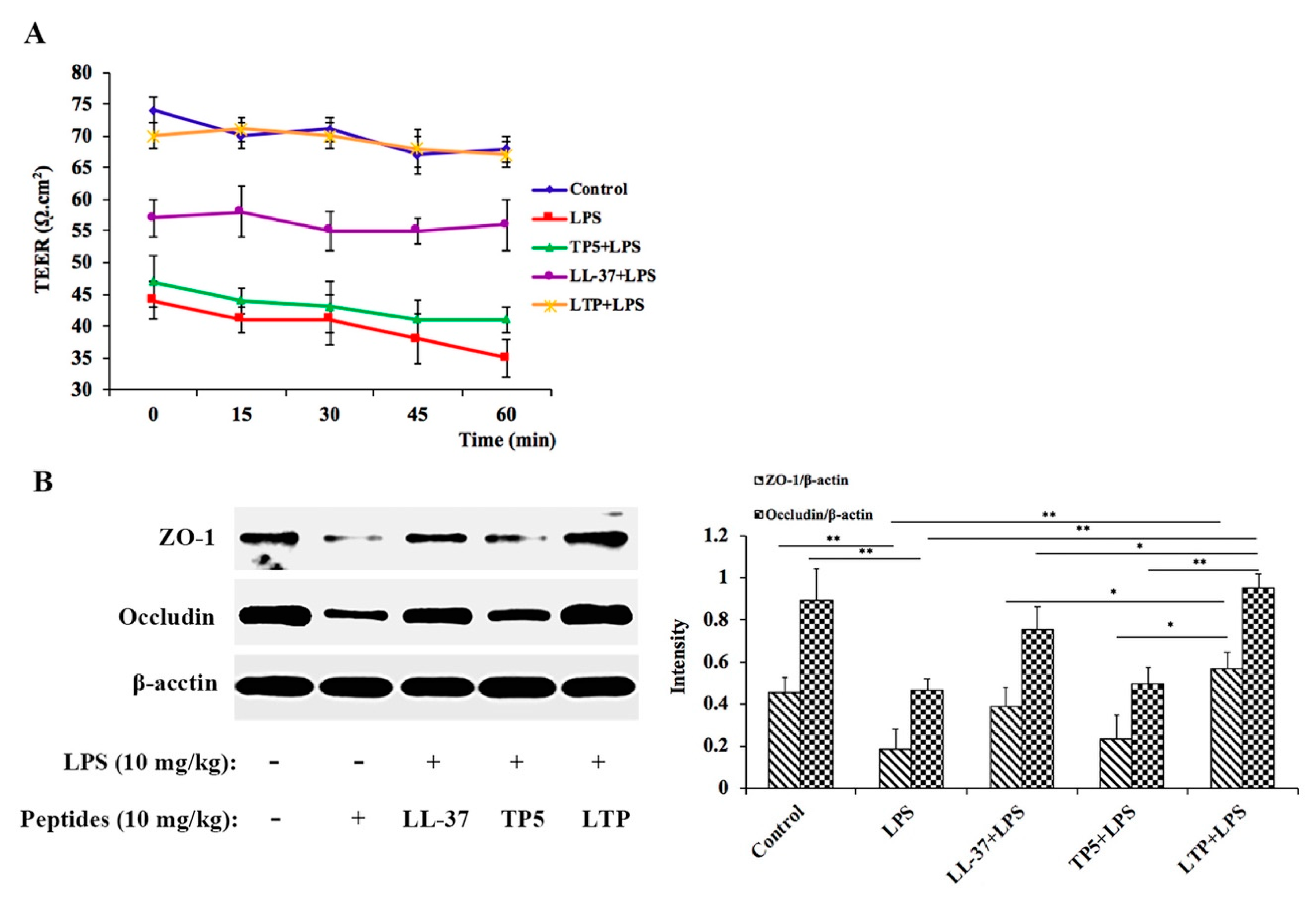 Ijms 20 03974 g006a Ijms 20 03974 g006a