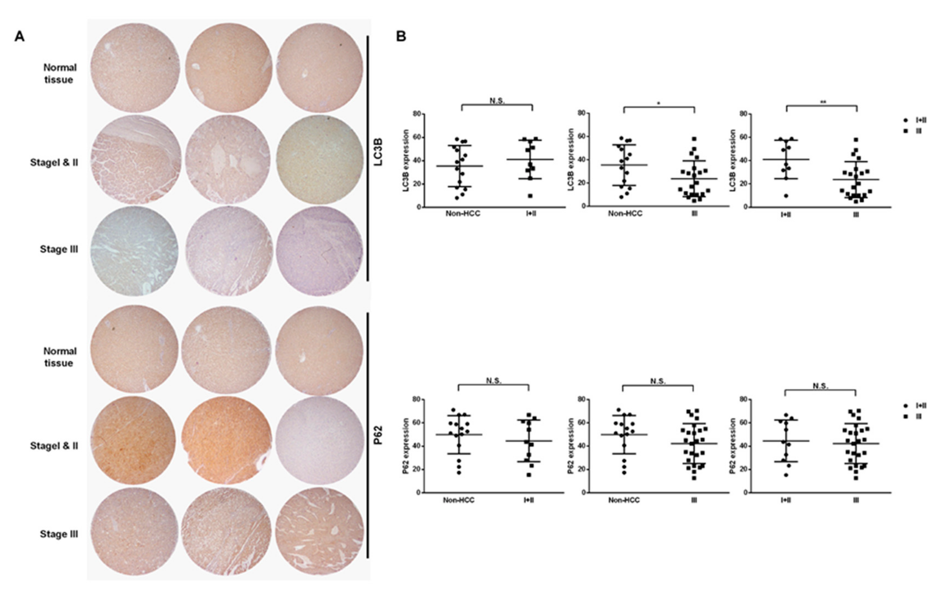 Ijms 20 03978 g003 Ijms 20 03978 g003