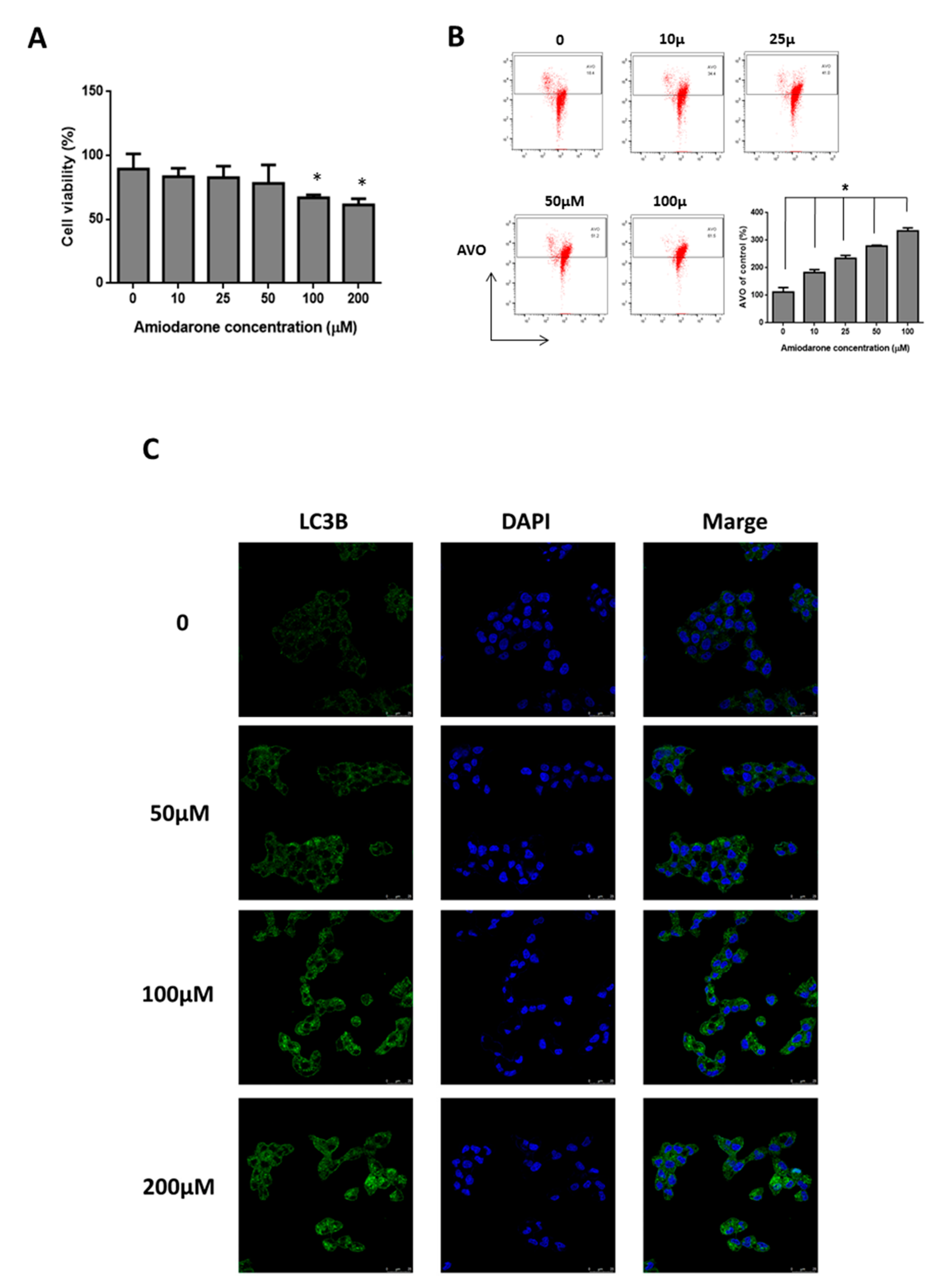 Ijms 20 03978 g004 Ijms 20 03978 g004