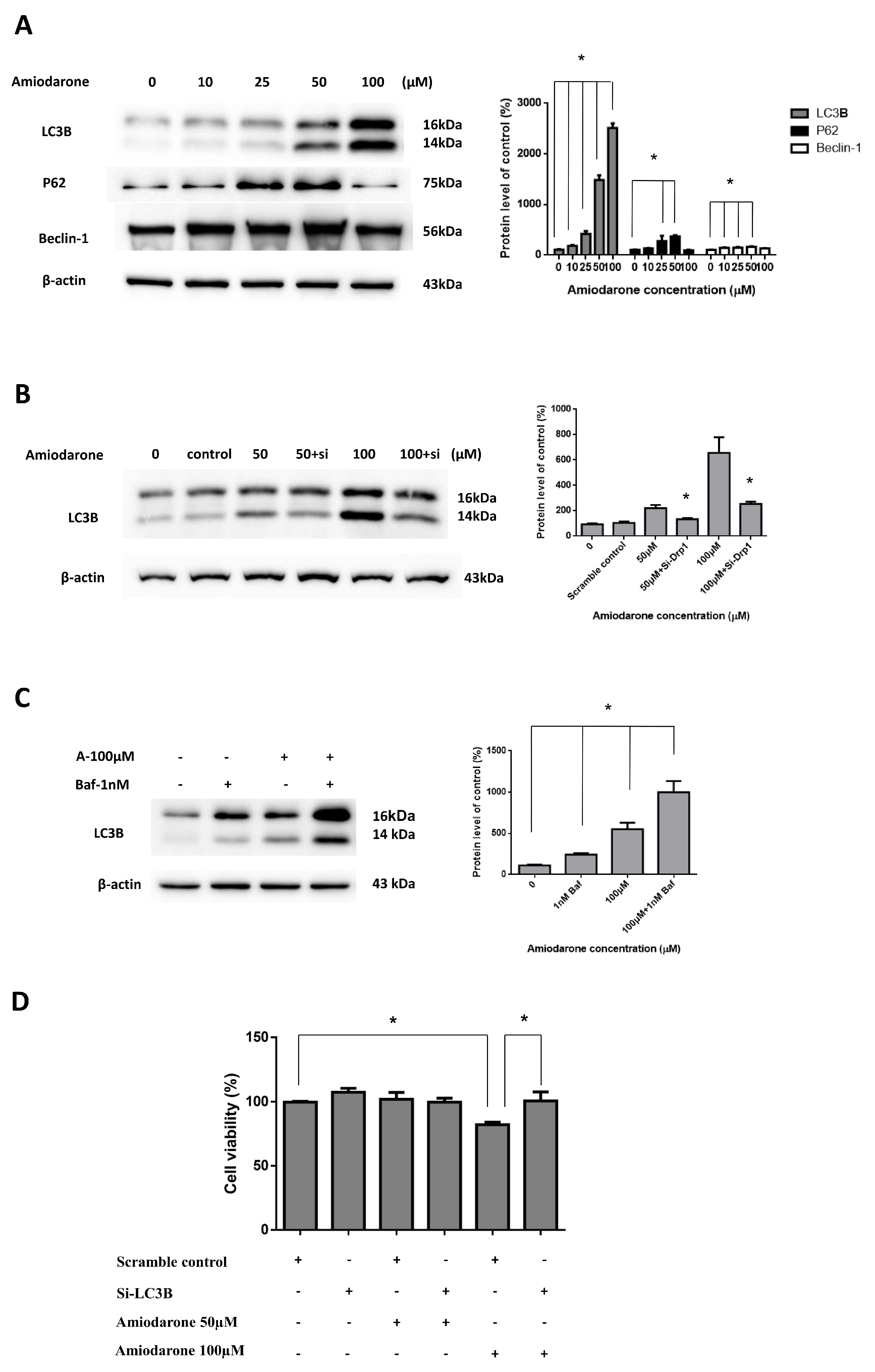 Ijms 20 03978 g005 Ijms 20 03978 g005