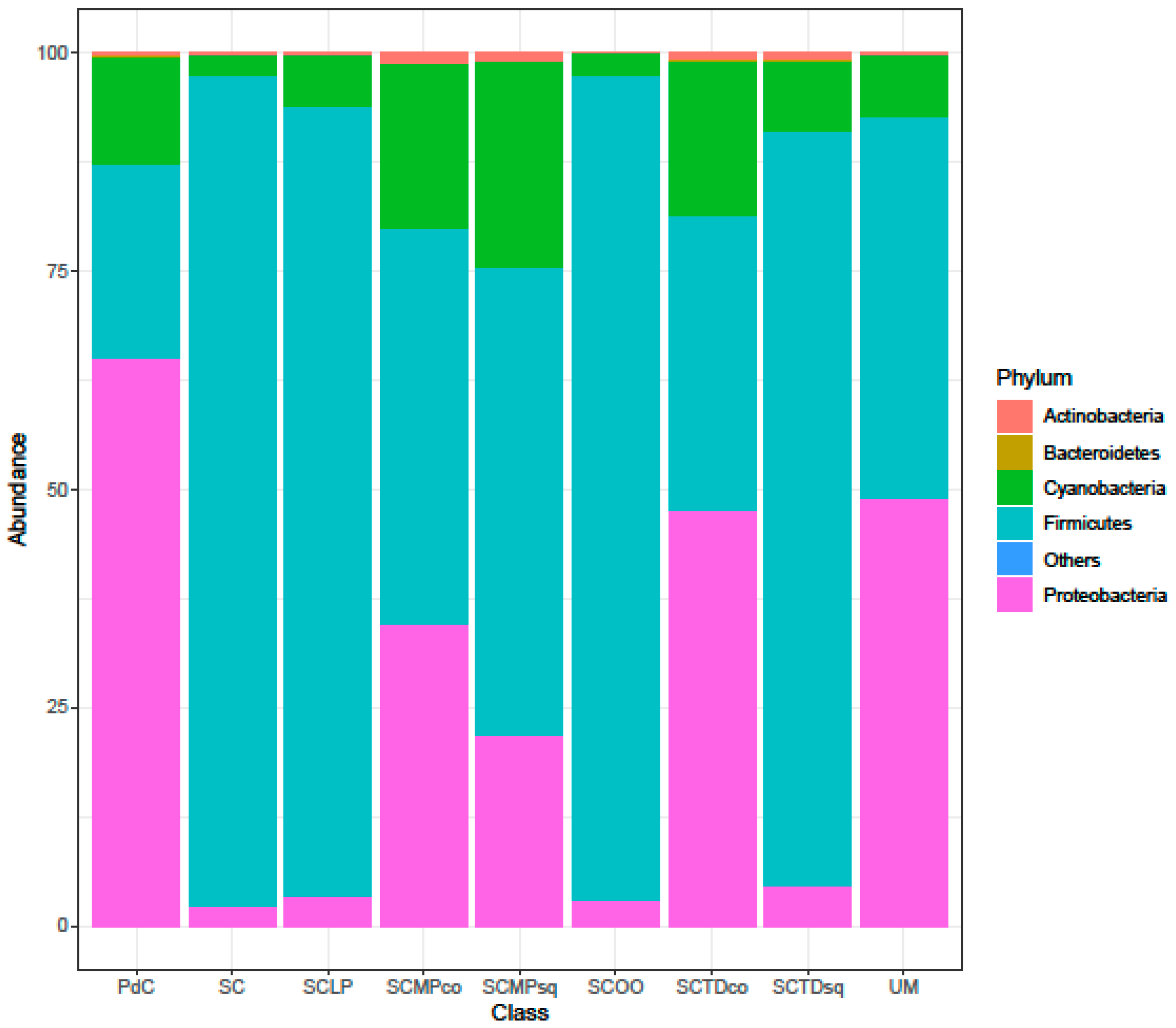 Ijms 20 03980 g009 Ijms 20 03980 g009