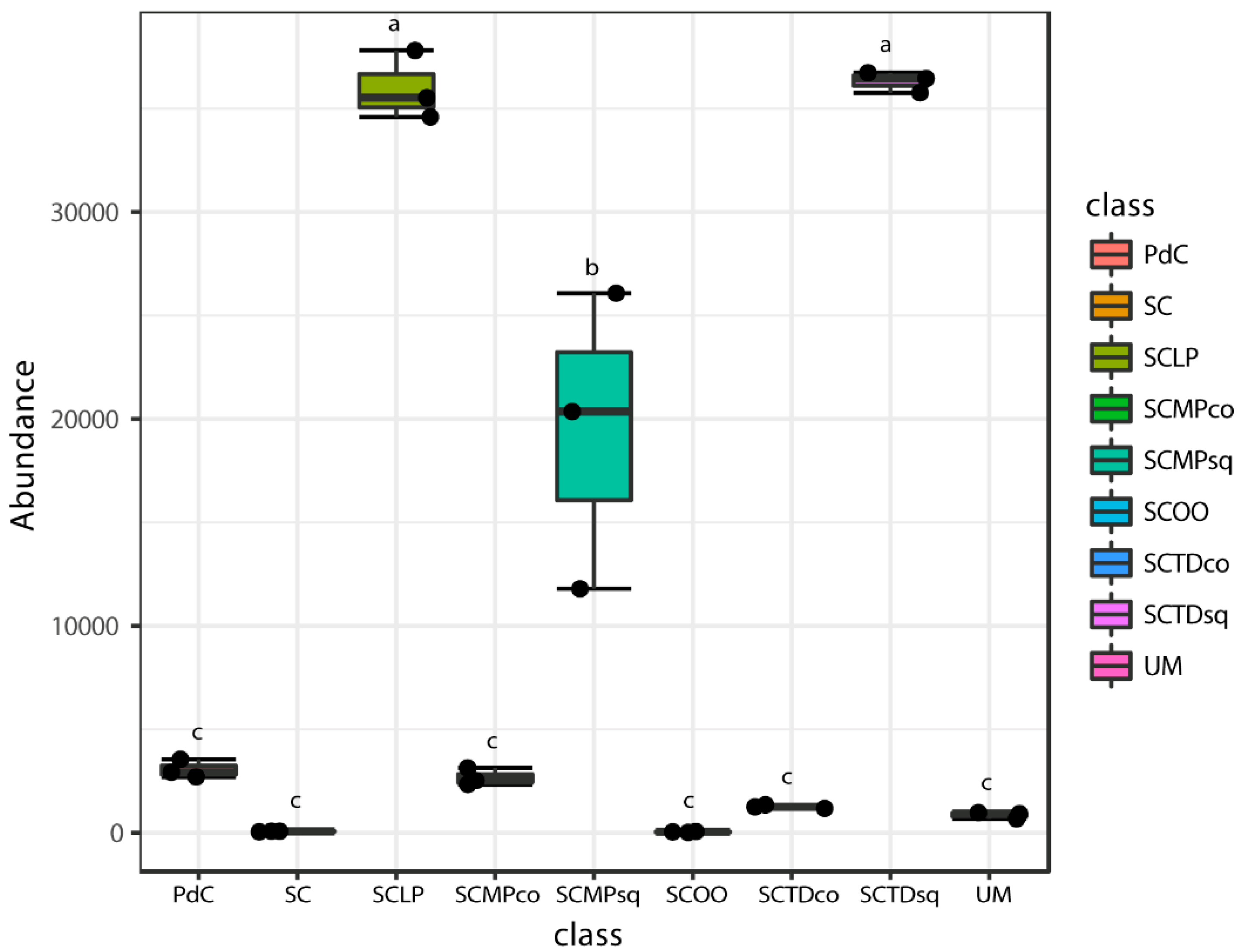 Ijms 20 03980 g012 Ijms 20 03980 g012