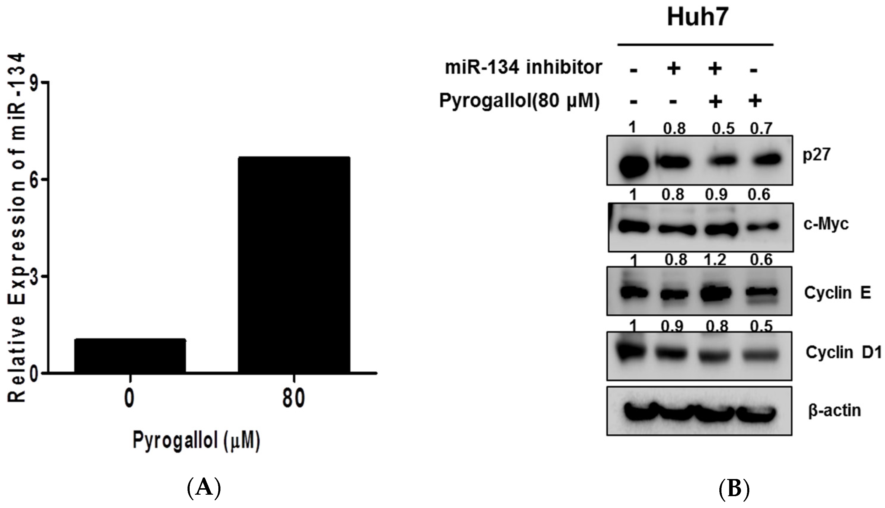 Ijms 20 03985 g006