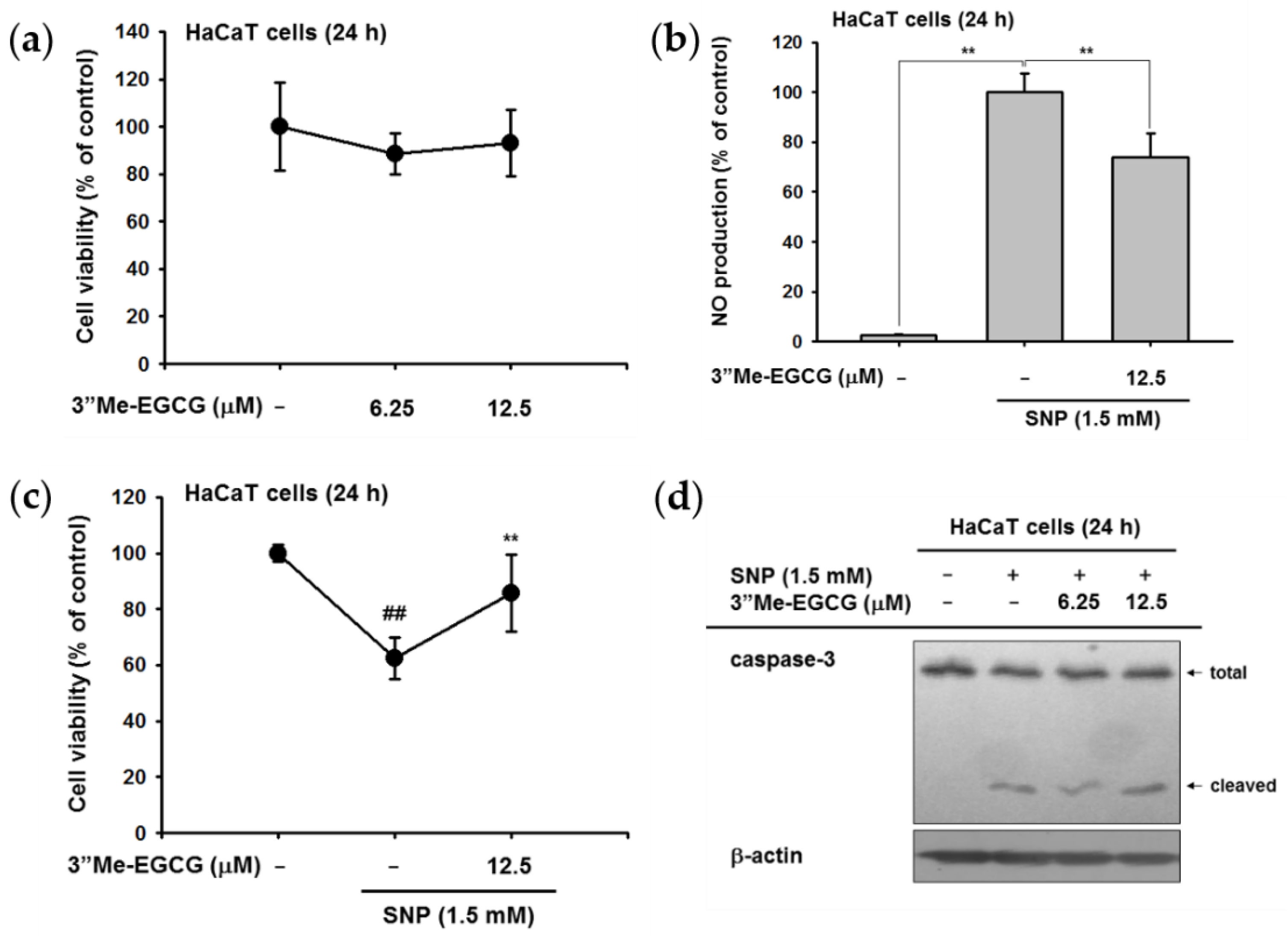 Ijms 20 03993 g004