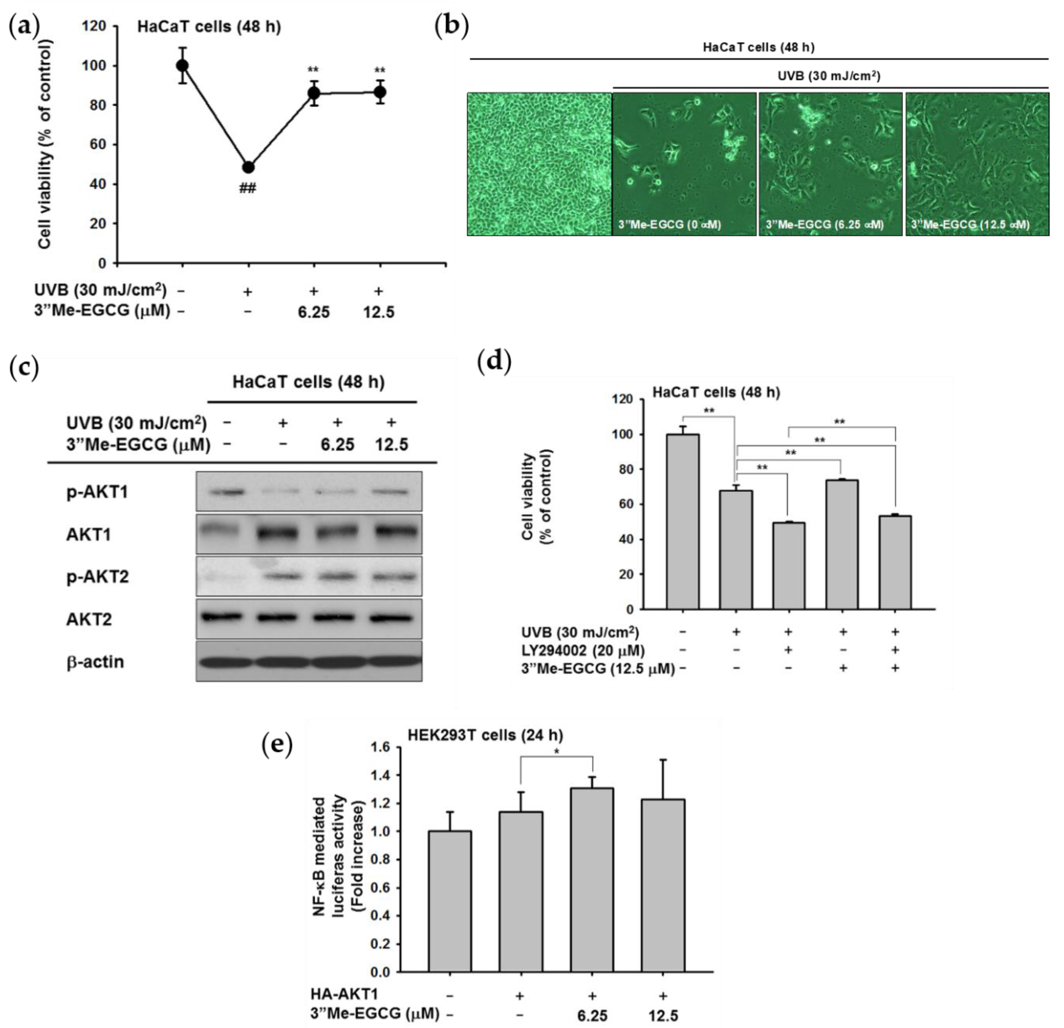 Ijms 20 03993 g005