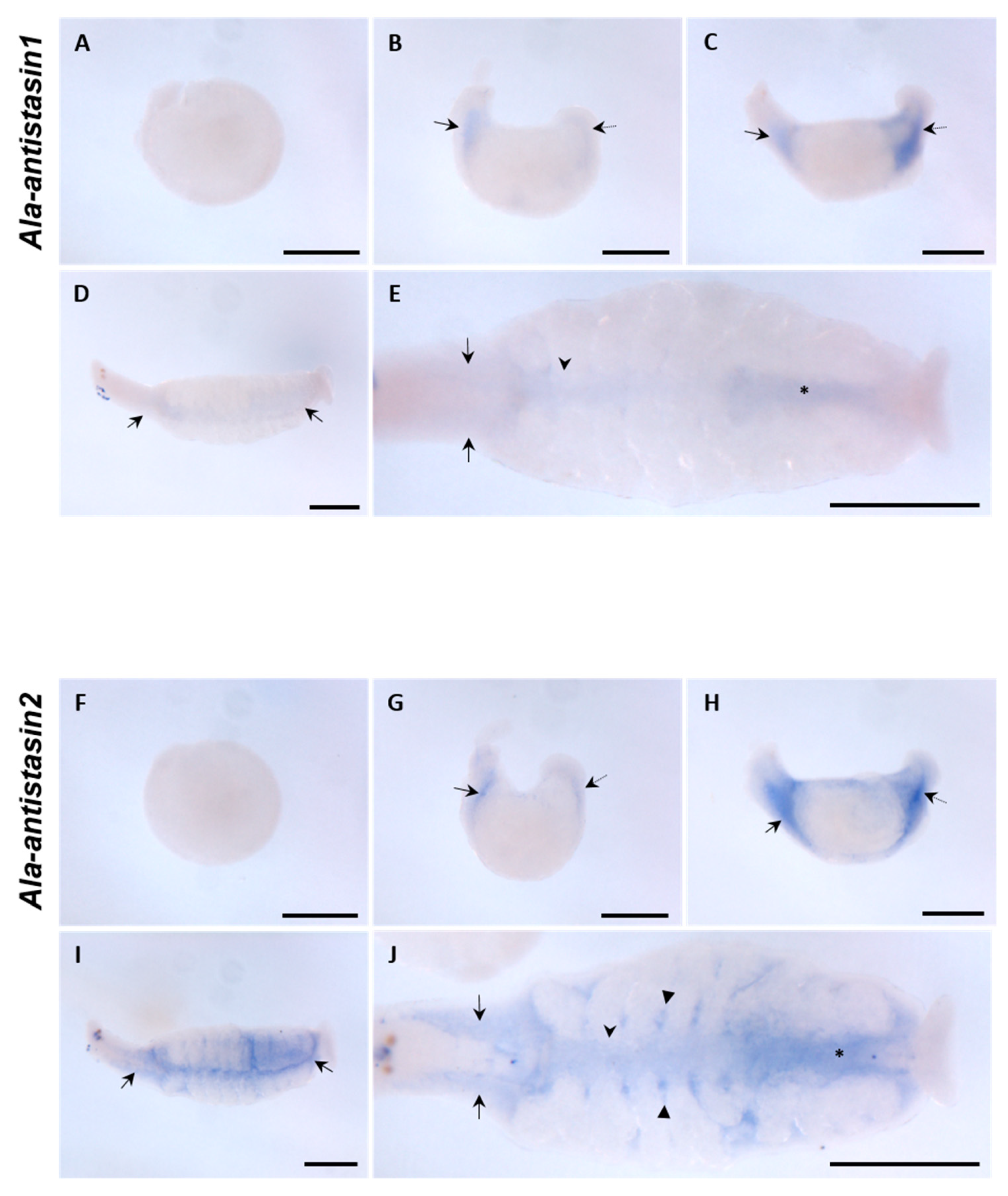 Ijms 20 03994 g004