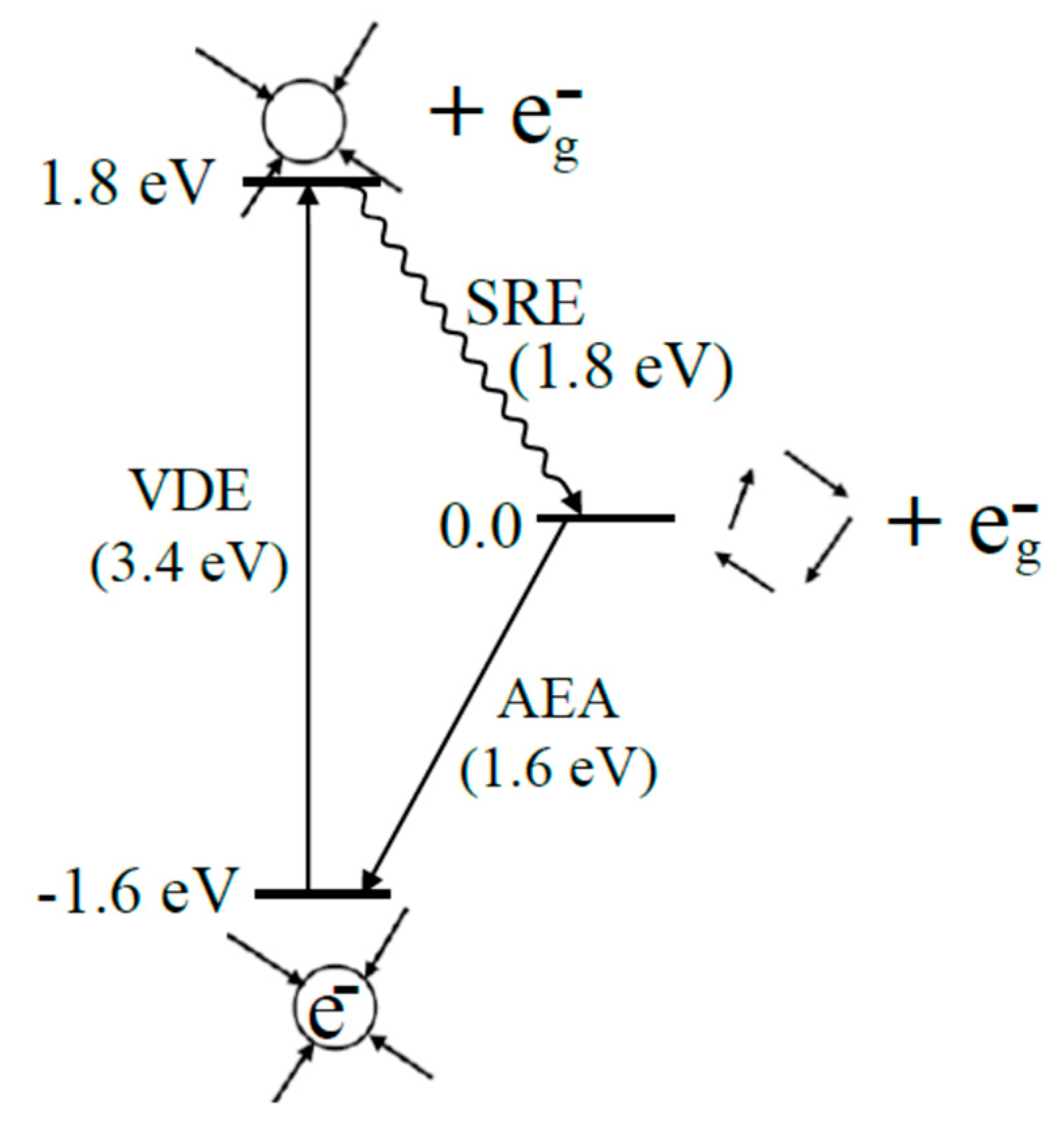 Ijms 20 03998 g002