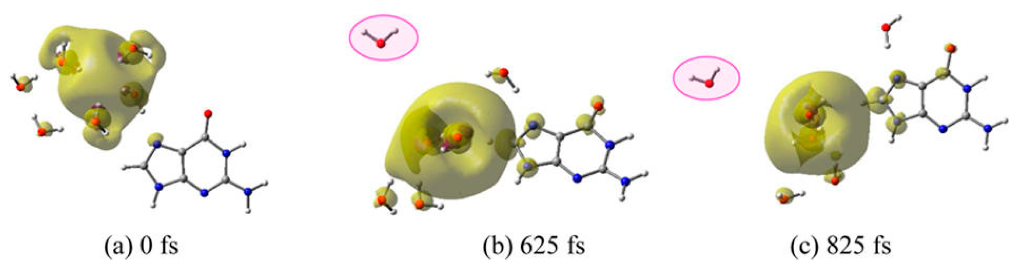 Ijms 20 03998 g008