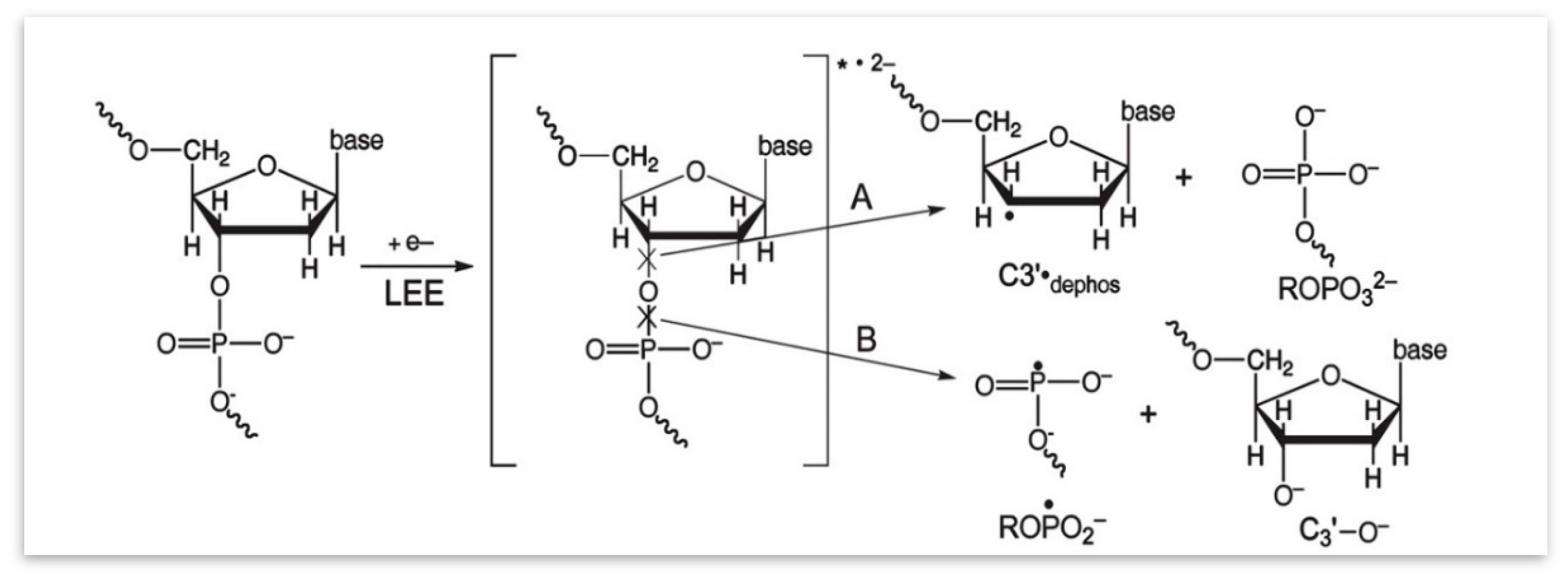 Ijms 20 03998 sch003