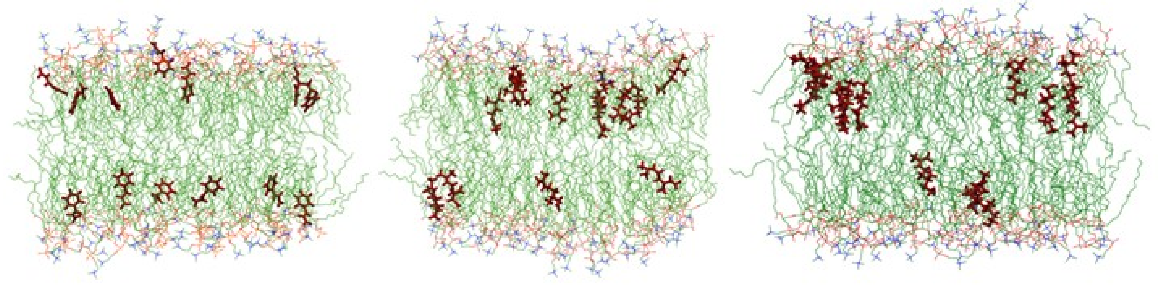 Ijms 20 04007 g004 Ijms 20 04007 g004