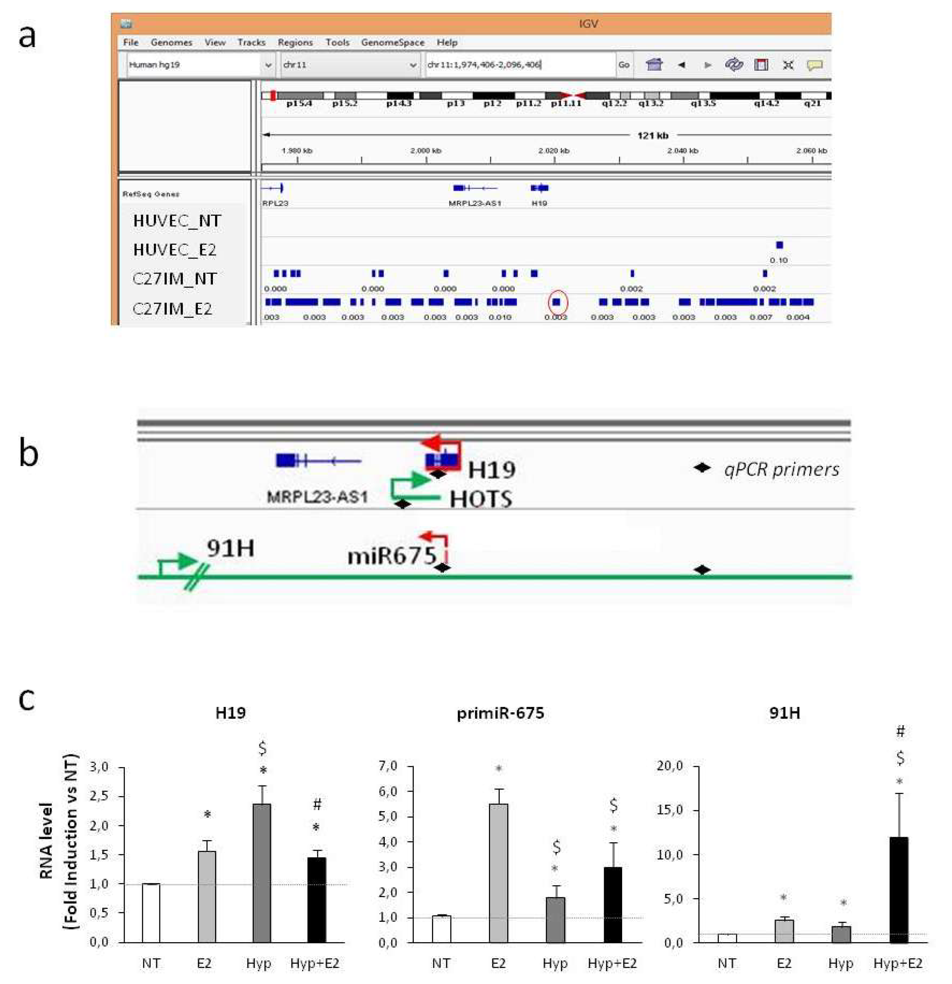 Ijms 20 04012 g001 Ijms 20 04012 g001