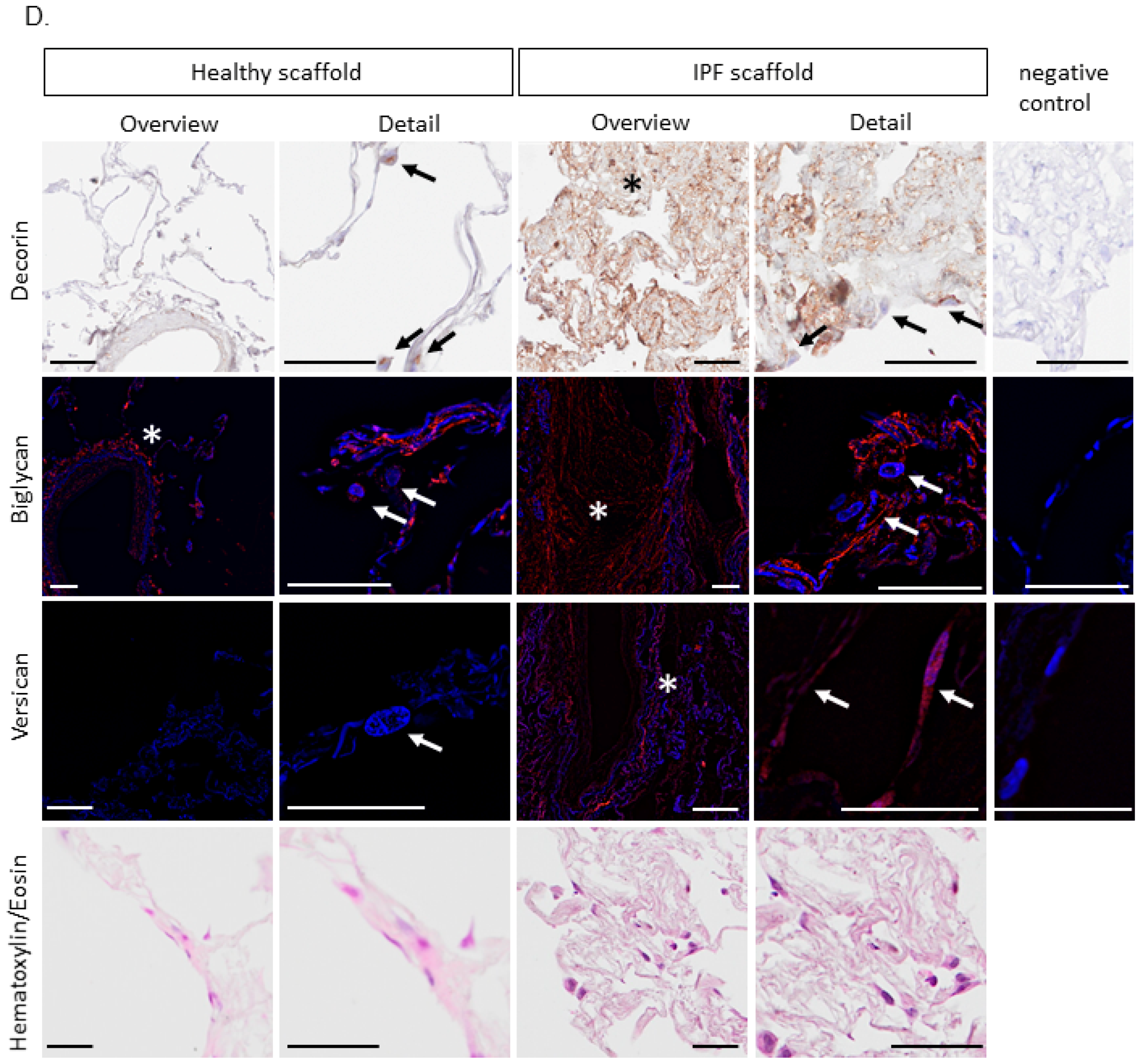 Ijms 20 04013 g006b Ijms 20 04013 g006b