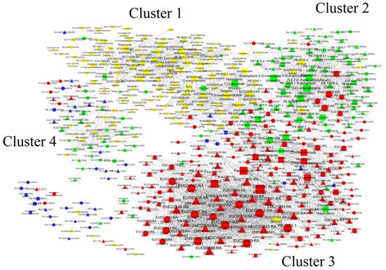 セット Dynamic Changes in Metabolite Accumulation and the