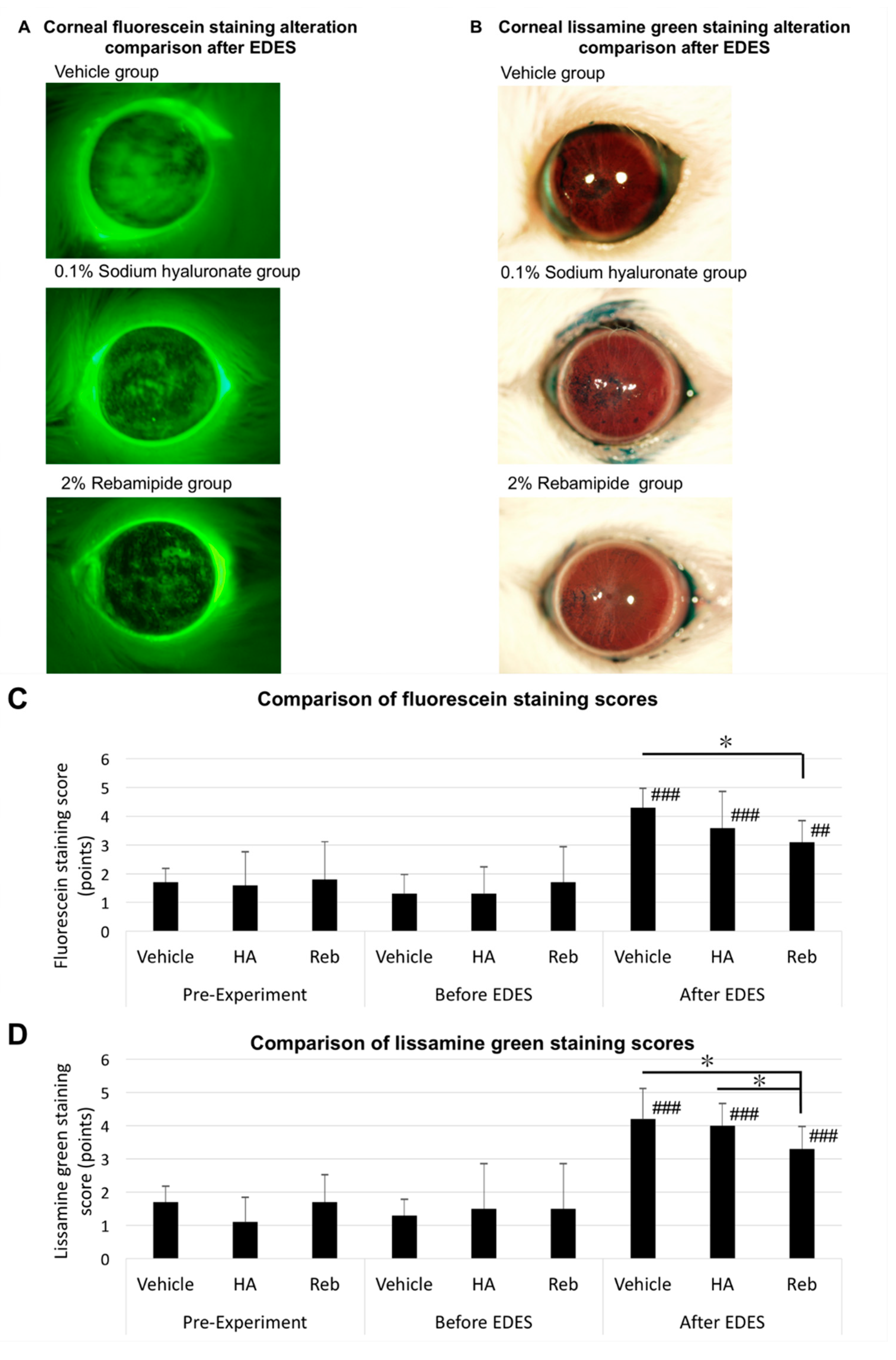 Ijms Free Full Text The Effects Of Rebamipide 2 Ophthalmic Solution Application On Murine Subbasal Corneal Nerves After Environmental Dry Eye Stress Html