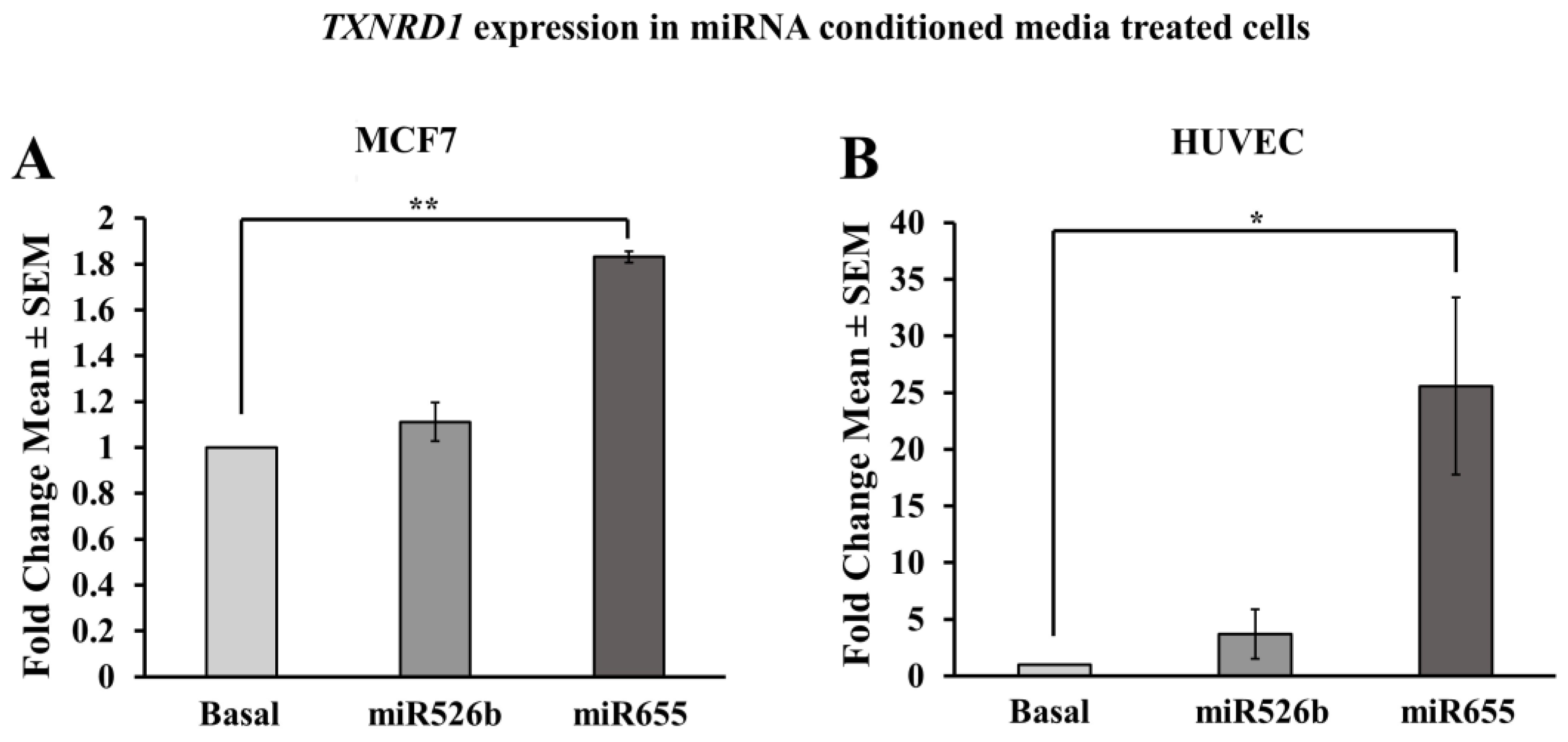 Ijms 20 04039 g009a