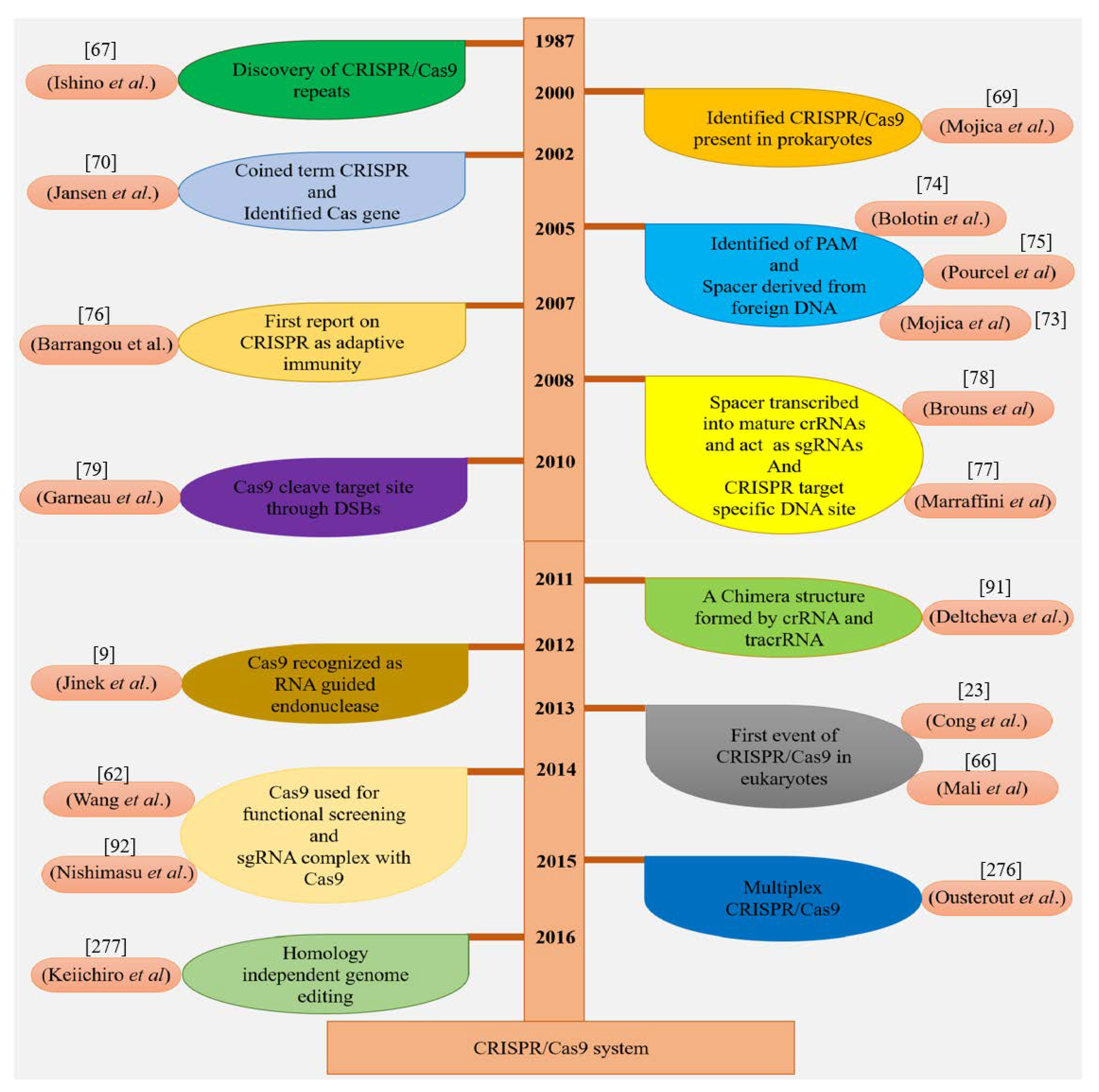 Ijms 20 04045 g004