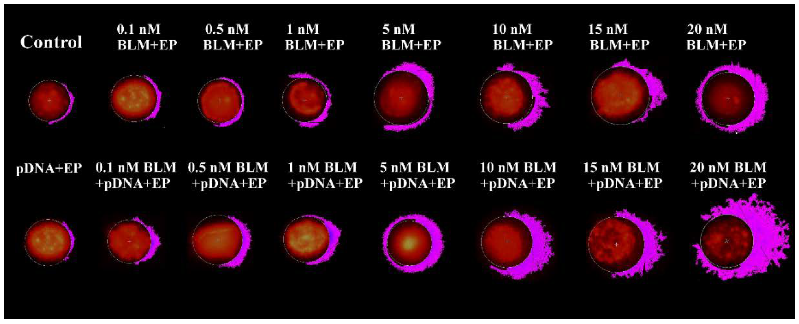 Ijms 20 04047 g003