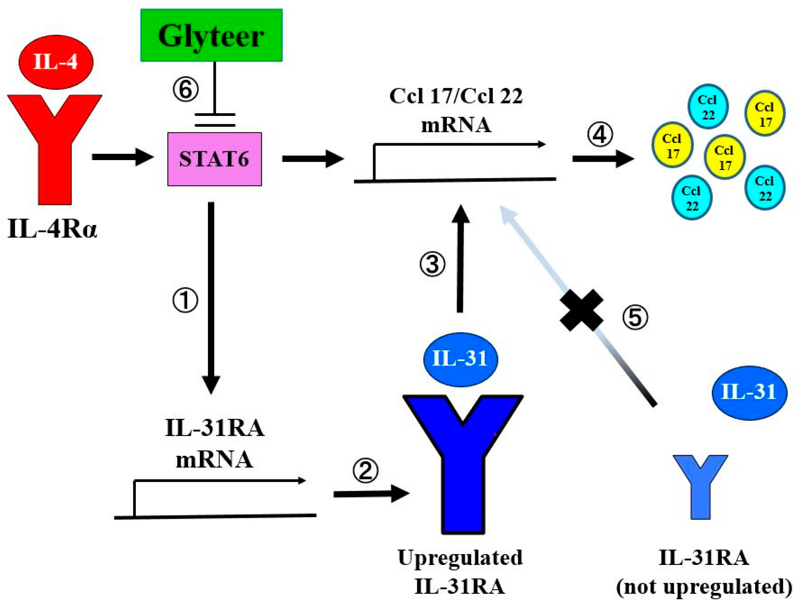 Ijms 20 04053 g005
