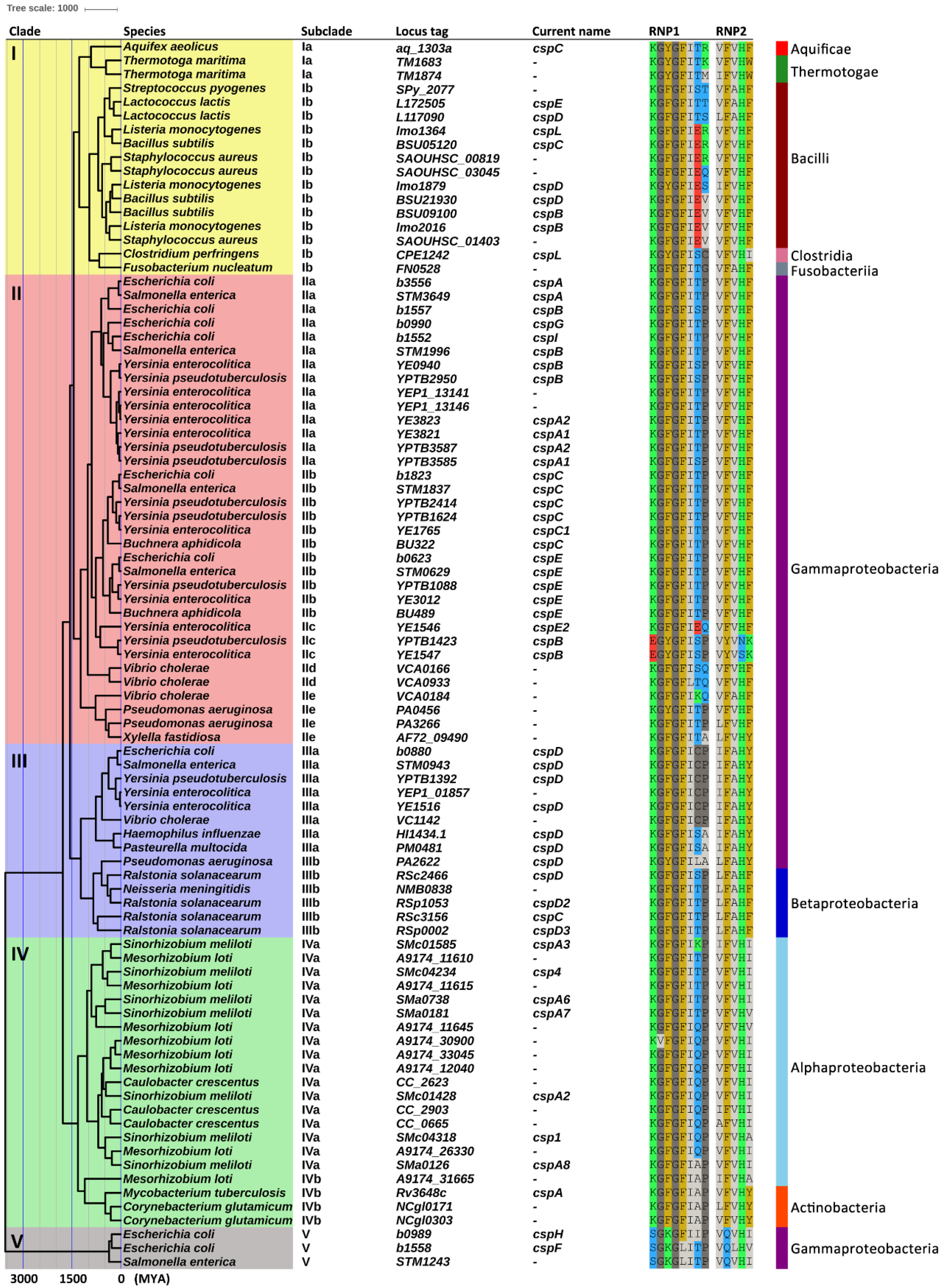 Ijms 20 04059 g005